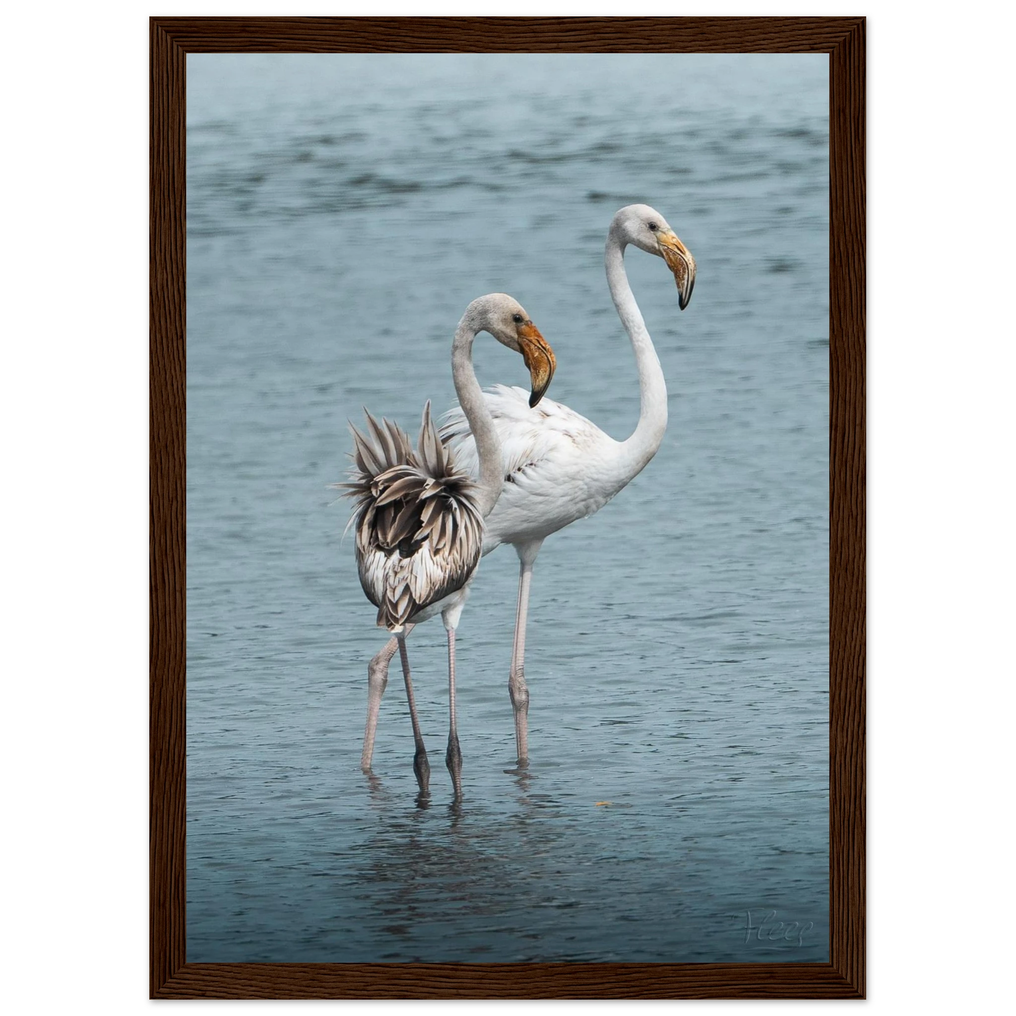 be71c309-cebb-46ef-b042-c08f02c52ef6