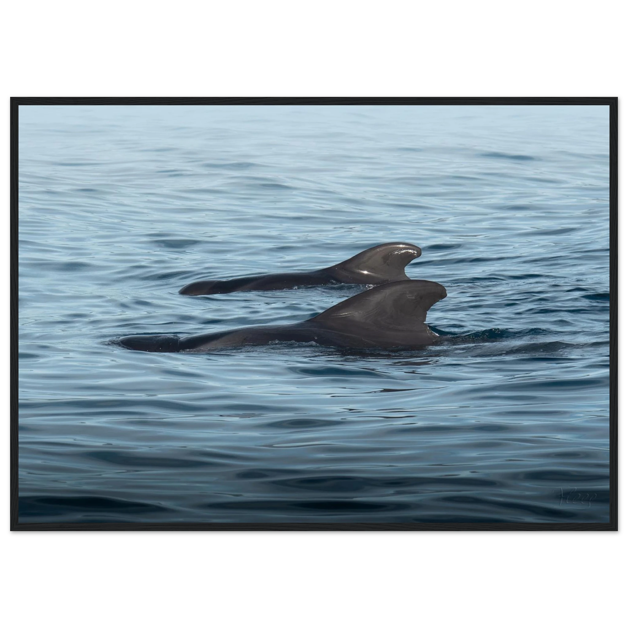 bedfc560-f75d-4542-b007-1d1b6b5bcb83