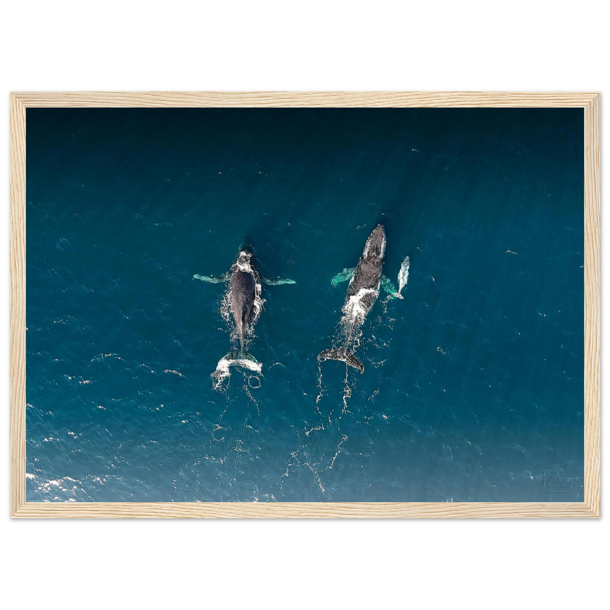 bf281058-c513-4f51-a12a-8bac16fb4b1e