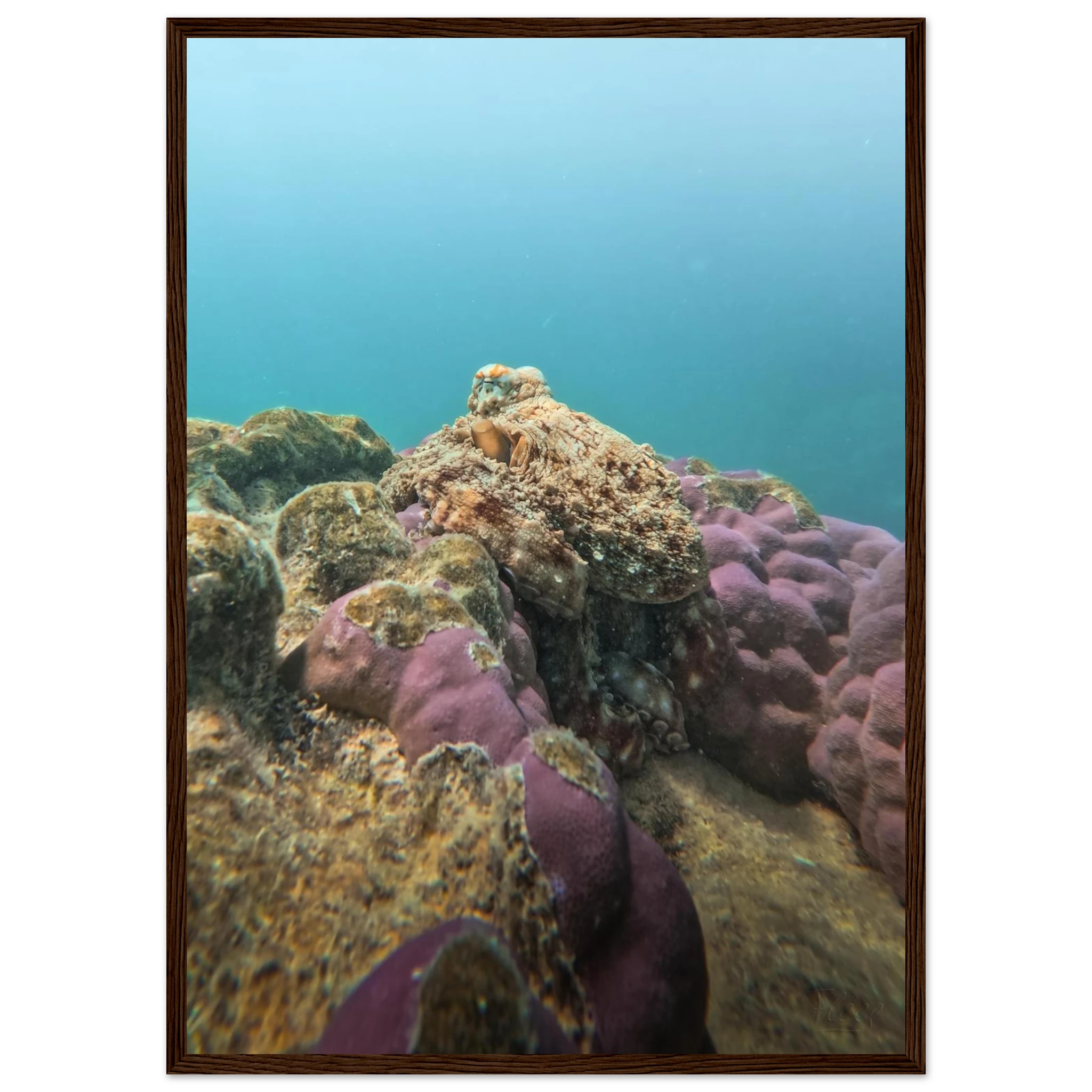 bf36e5b1-8ea3-442a-9a91-0dc09867423a