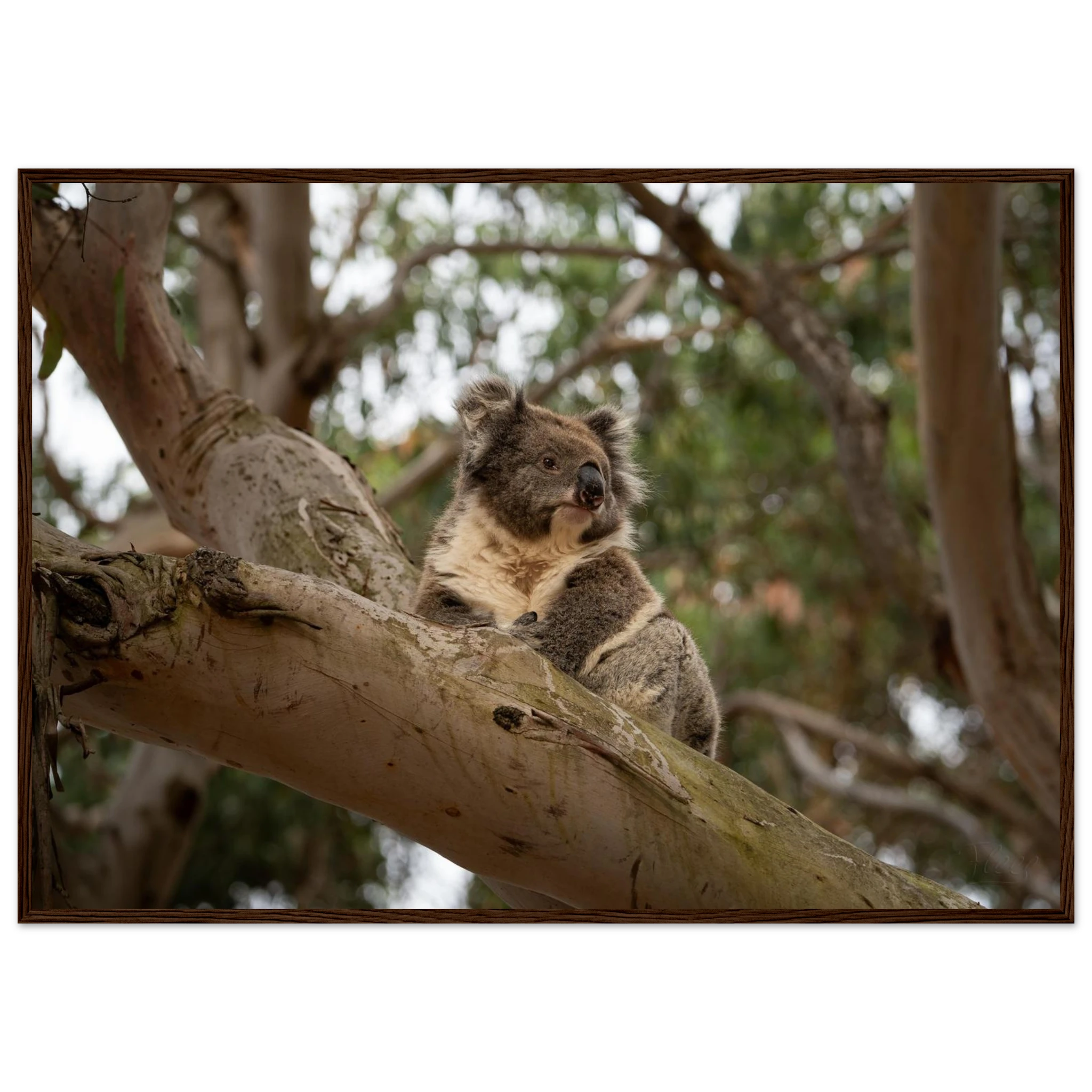 c00fd8e5-2883-4086-87c5-120026f35559