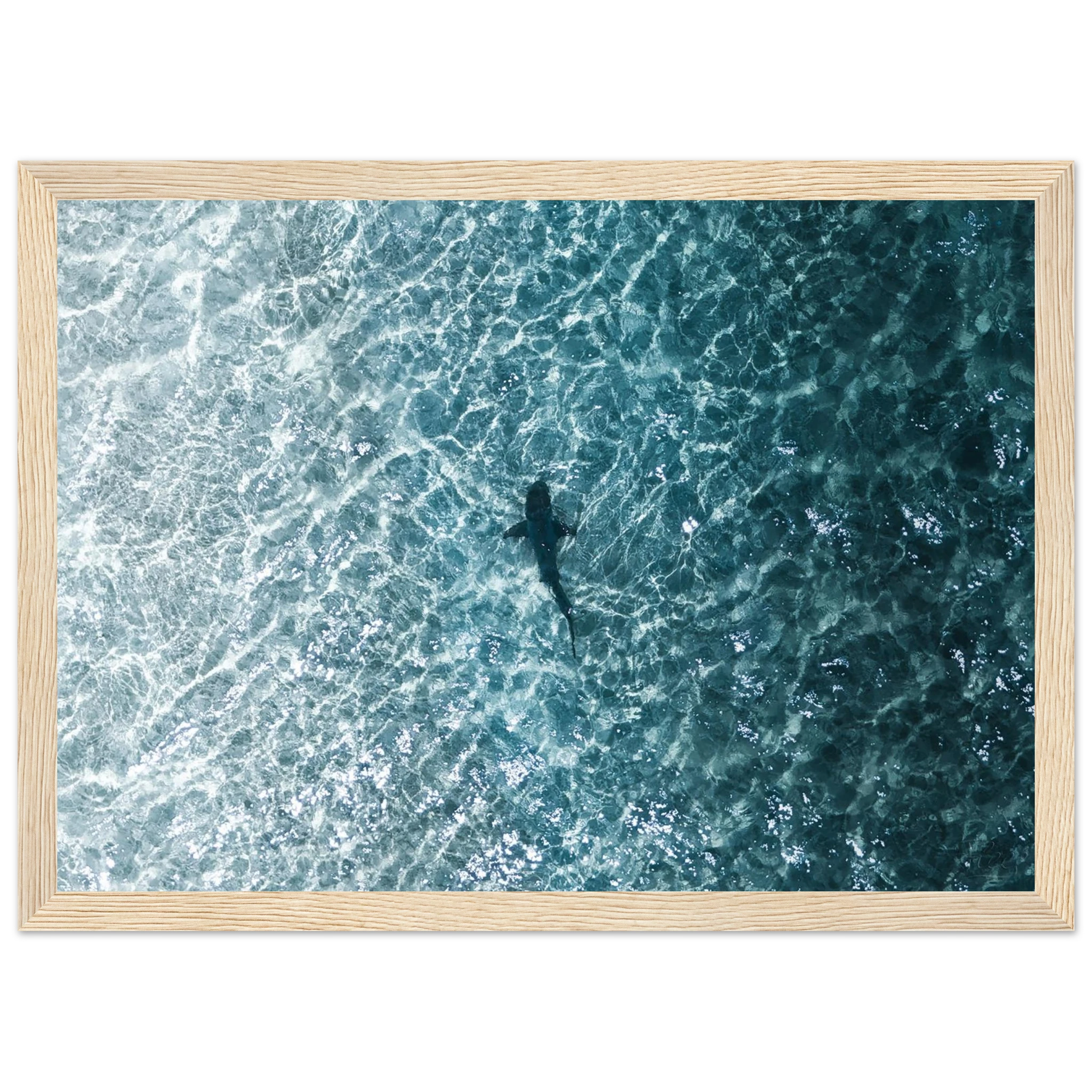 c01f89ba-4879-4a8b-993d-22b14c057813