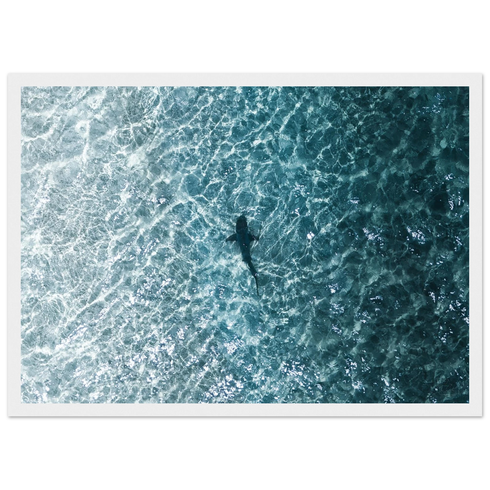 c0dbe8da-47cb-4056-9b5e-c7f1e58ccc0a