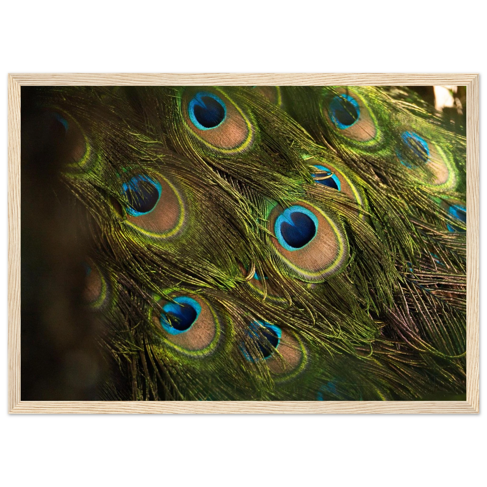 c1137a21-3555-47bd-a379-3e47f562ba5a