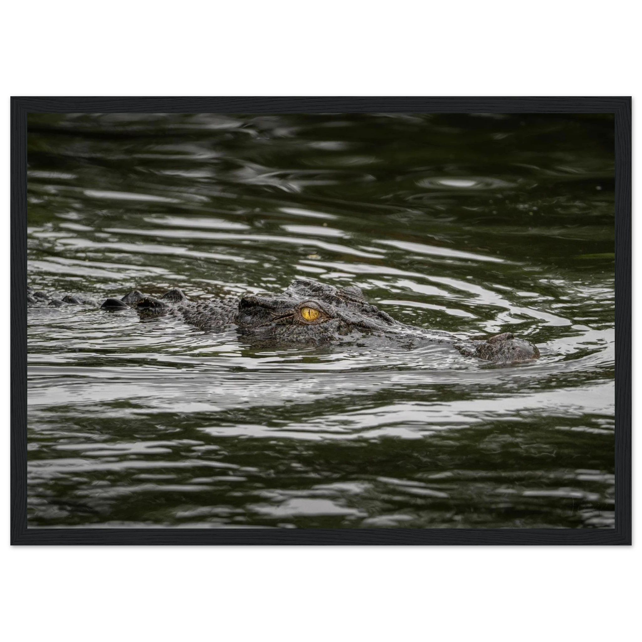 c11728fb-f65b-42bb-8194-ac520ddbc387