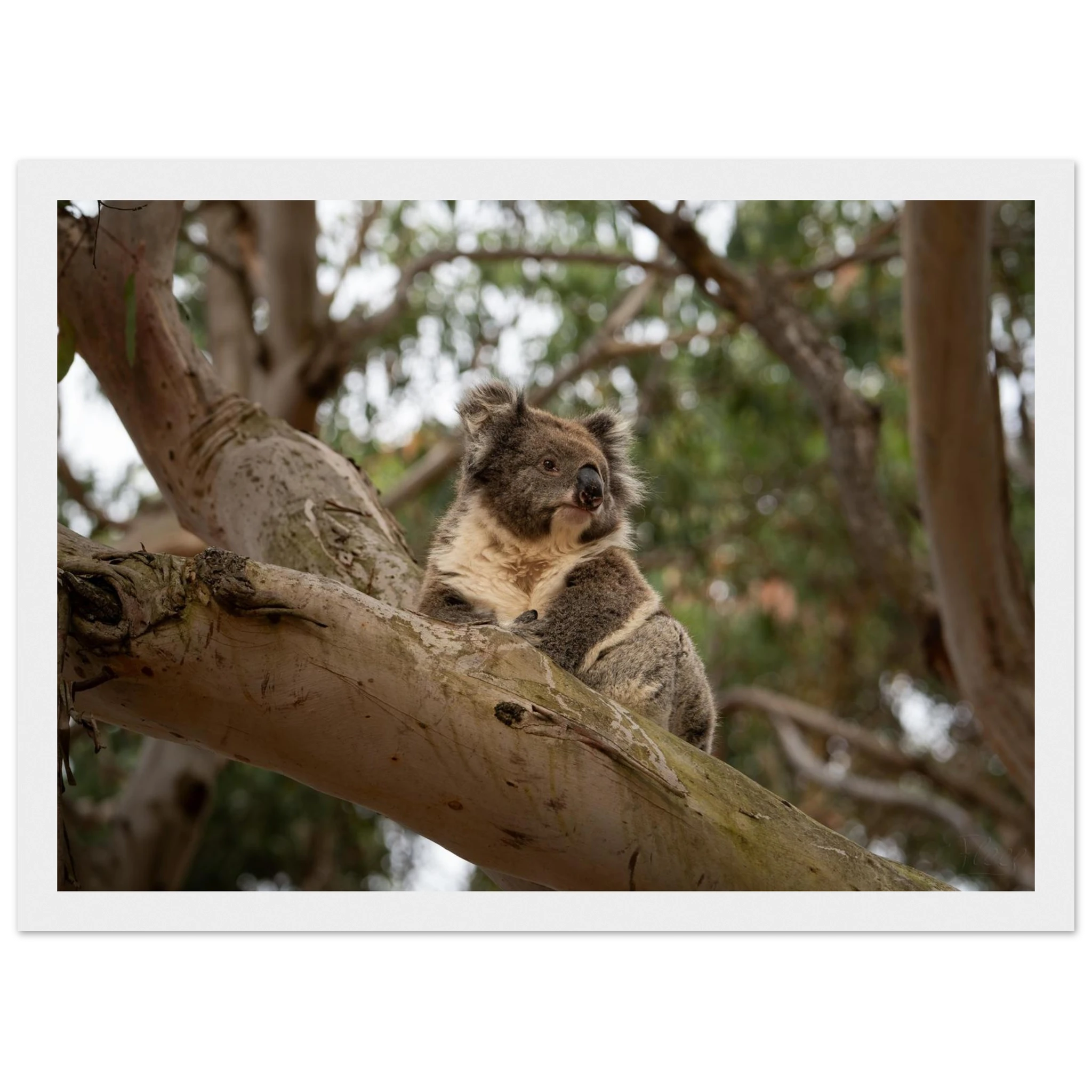 c2bb3800-ad70-4fad-a09f-ba480777e733