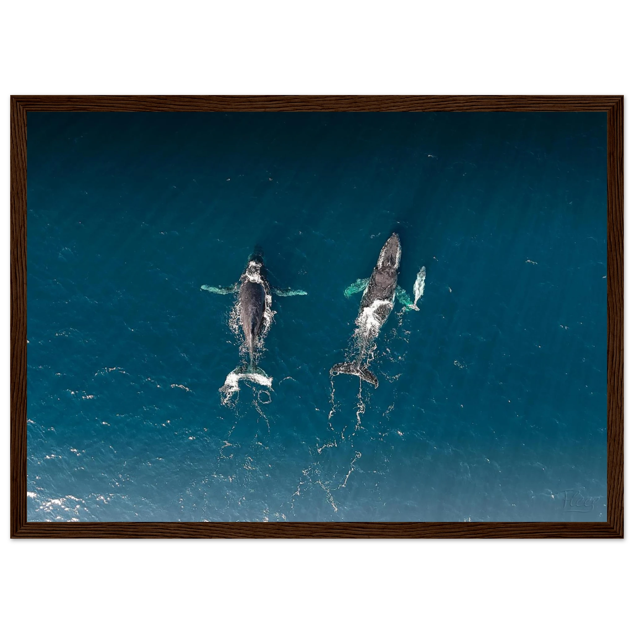 c379154b-d23d-4142-a6e5-fae4b0e716c0