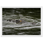 c4027efc-979e-4656-a25b-789e667b2edc