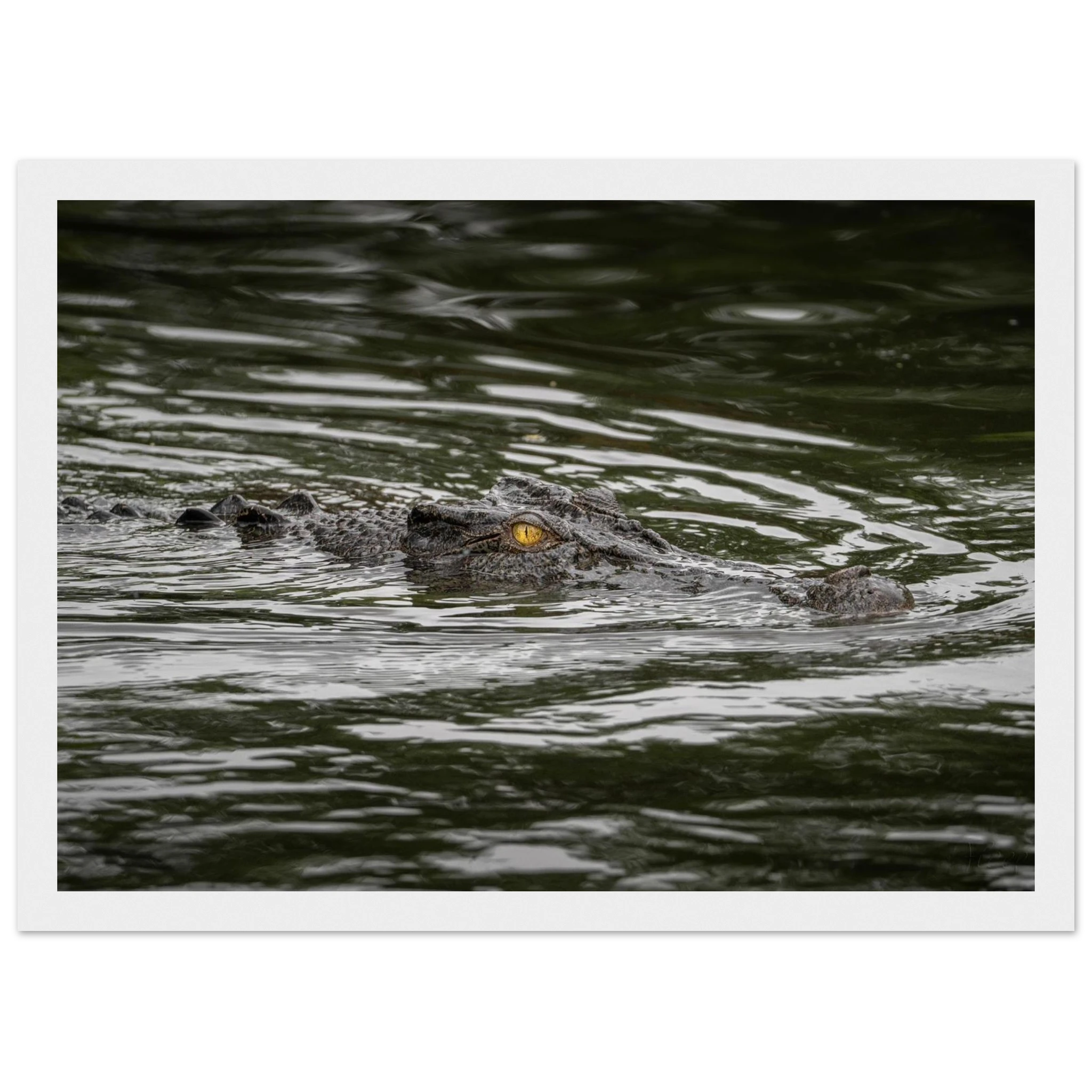 c4027efc-979e-4656-a25b-789e667b2edc