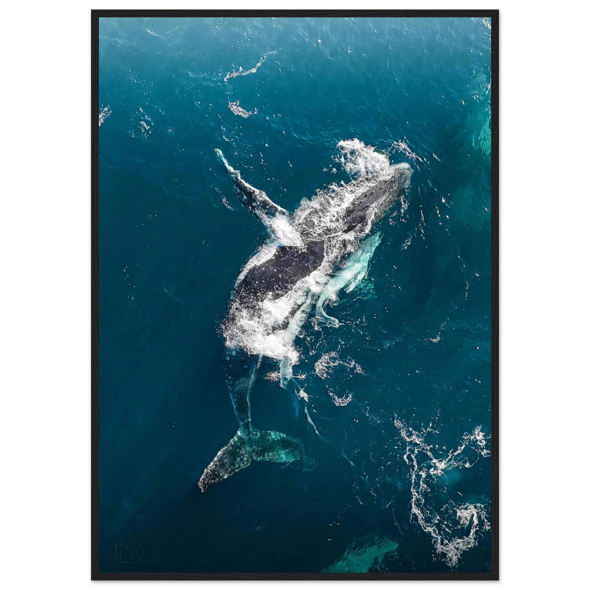 c40584e7-430a-492d-a594-68bc1e854dd2