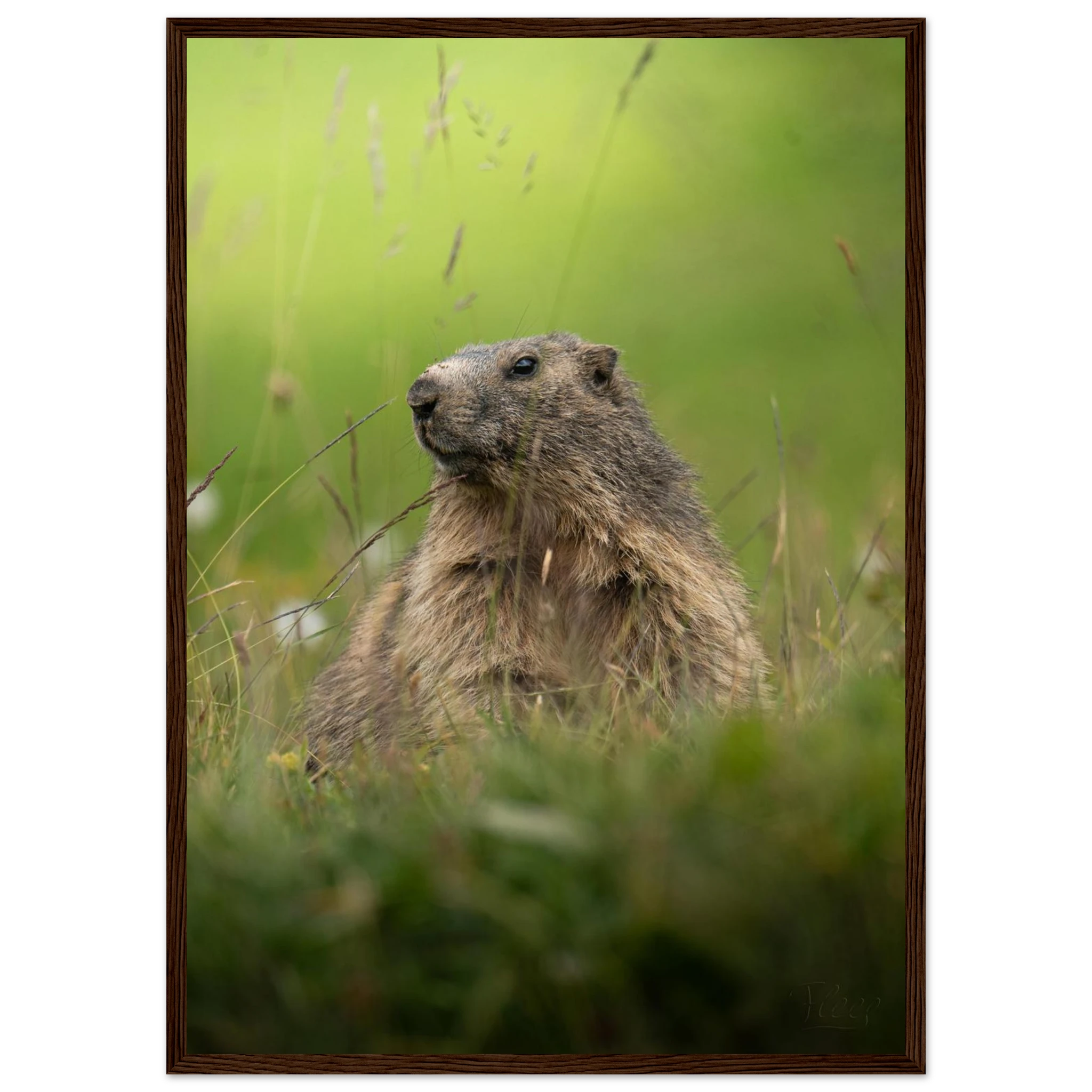 c41b03c8-adc5-4e6e-8e02-44c5b8def49a