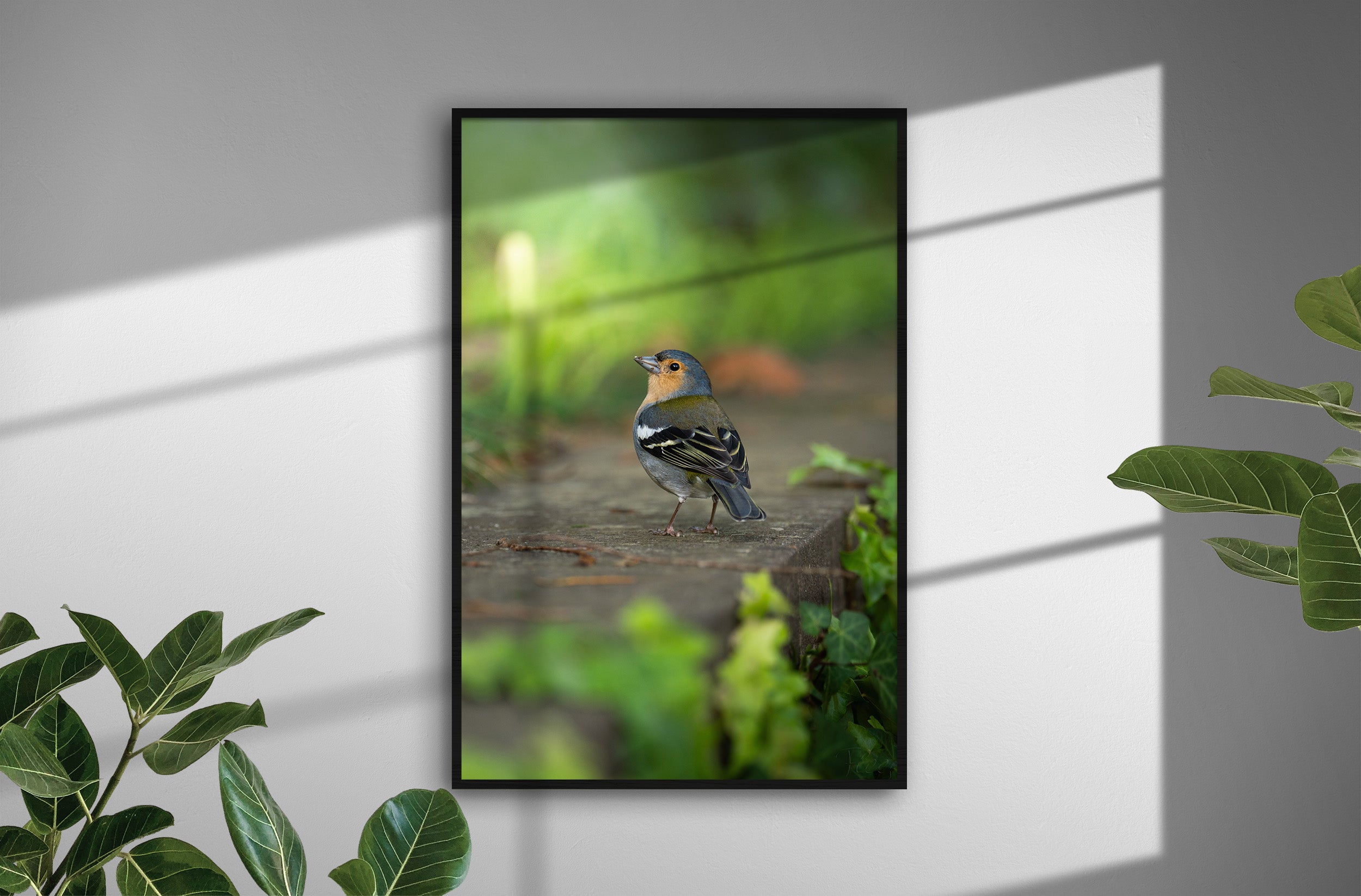 c4289fe2-93c1-4a3f-9d70-3b8d62a99d39