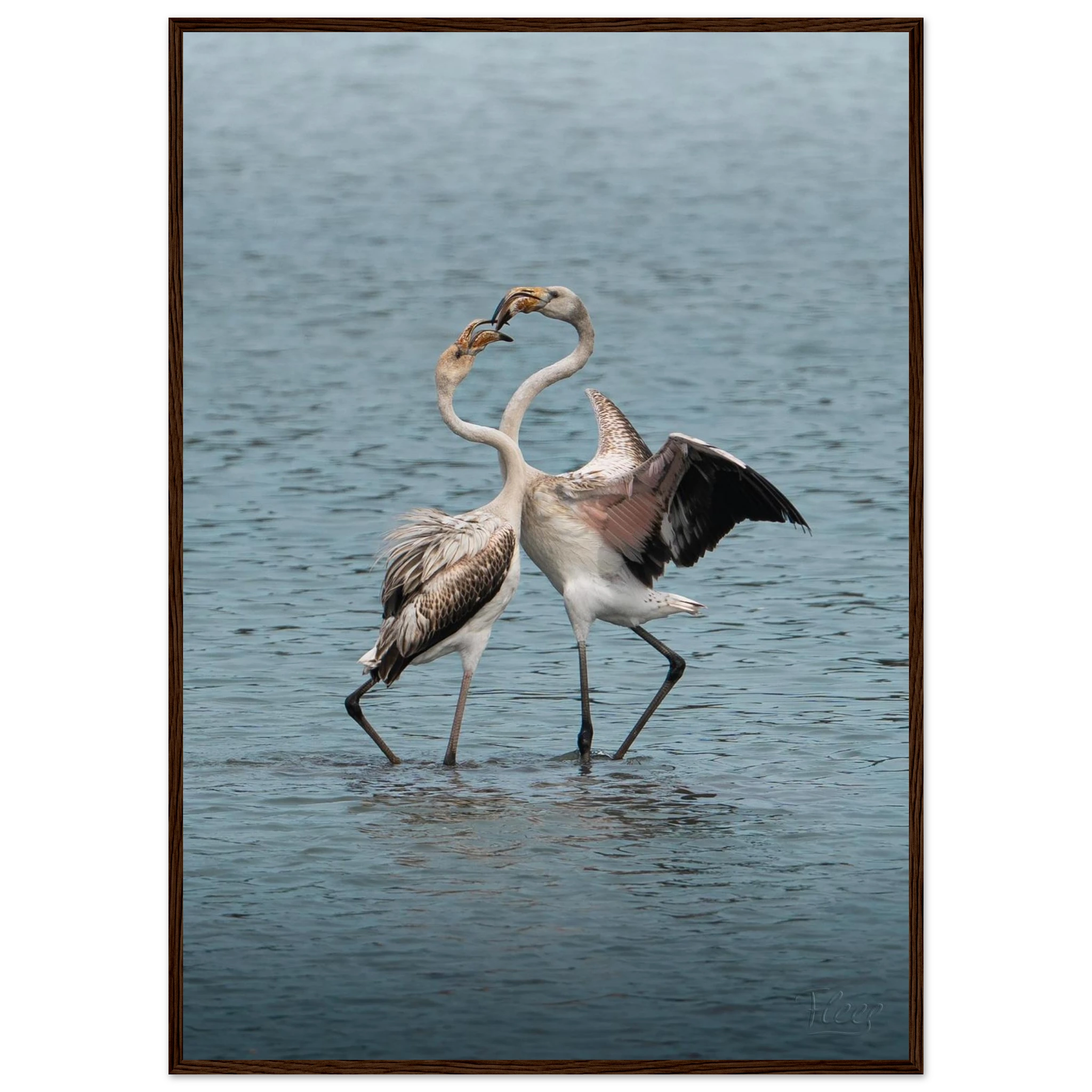 c4558e42-1e0b-4cd5-b063-338717683a46