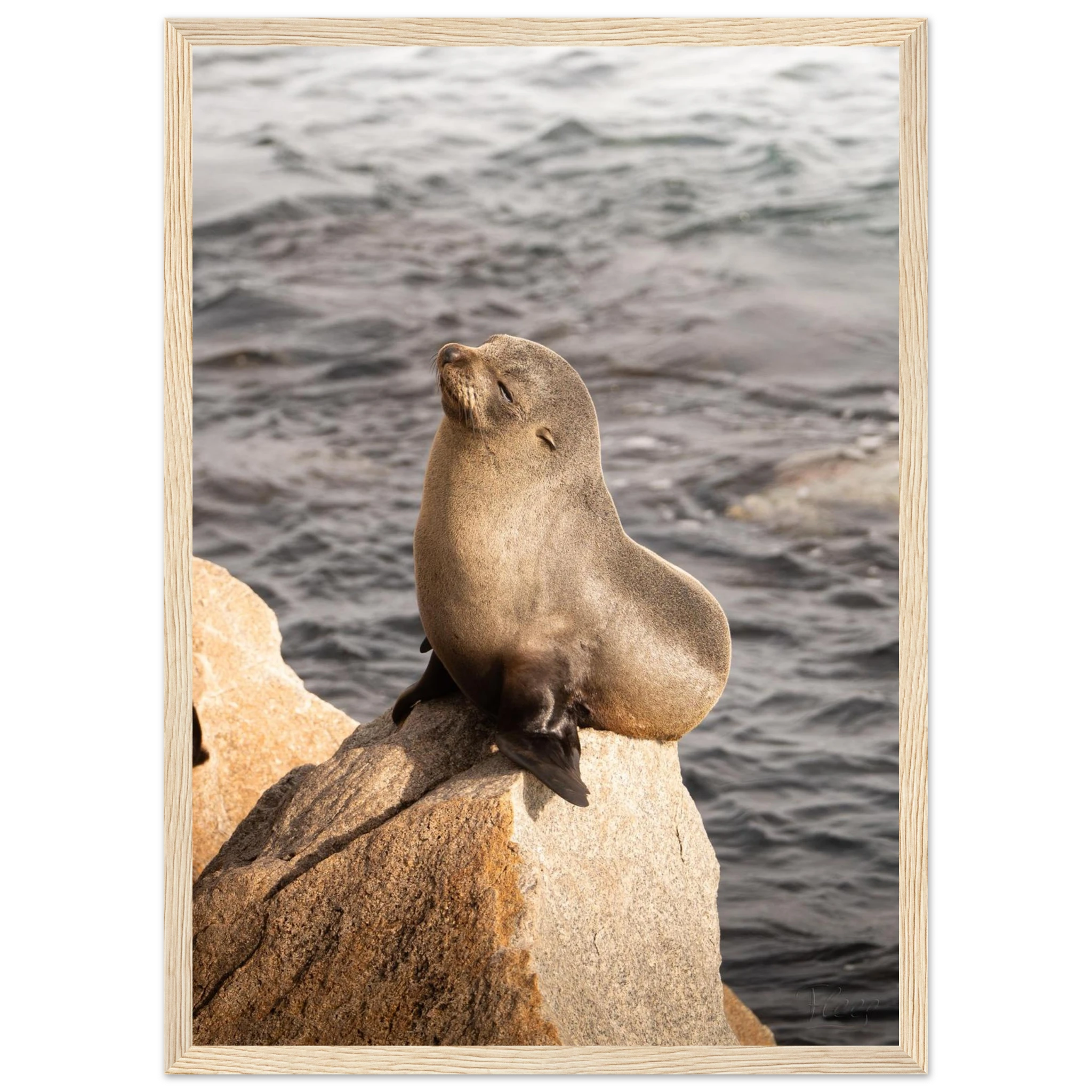 c46be89a-fb3b-465c-95d2-03c9c9798bc9