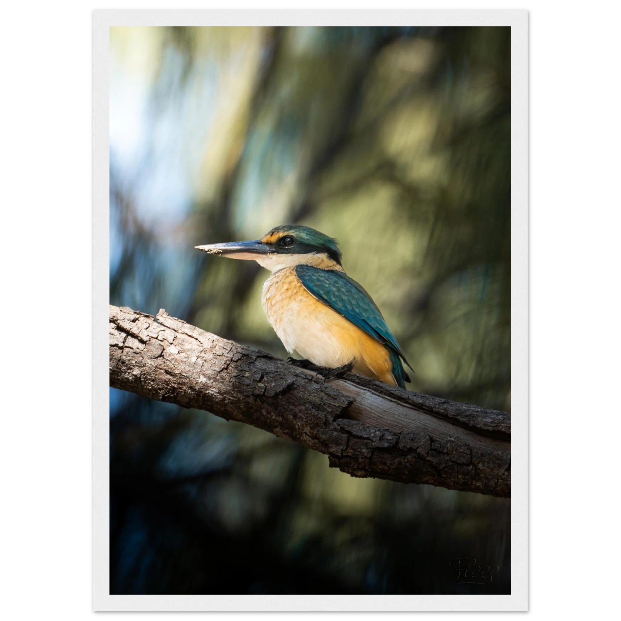 c4814c67-9275-4c8a-9486-28aba01df27a