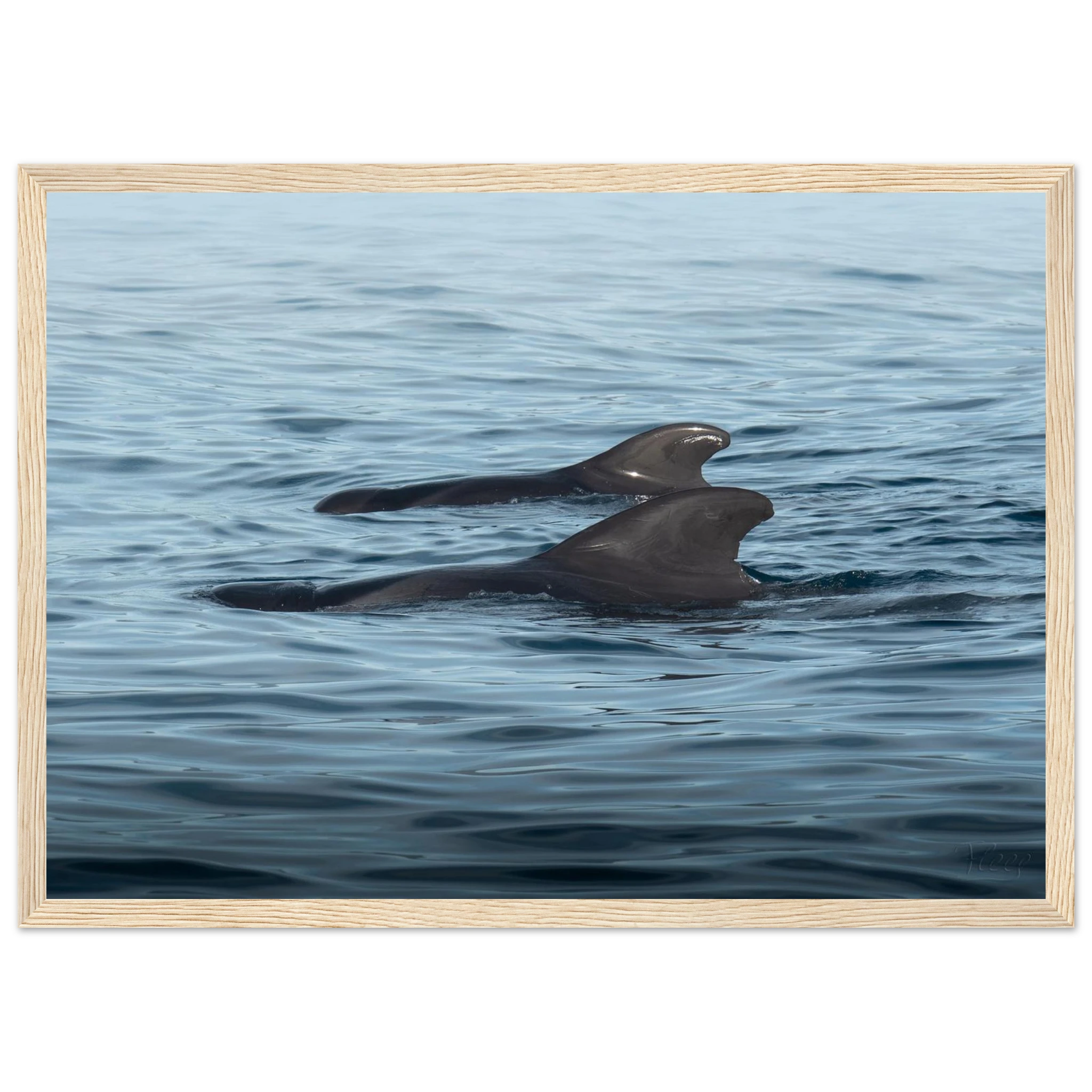 c48cf49b-3c88-47ff-b326-946ead314c2b