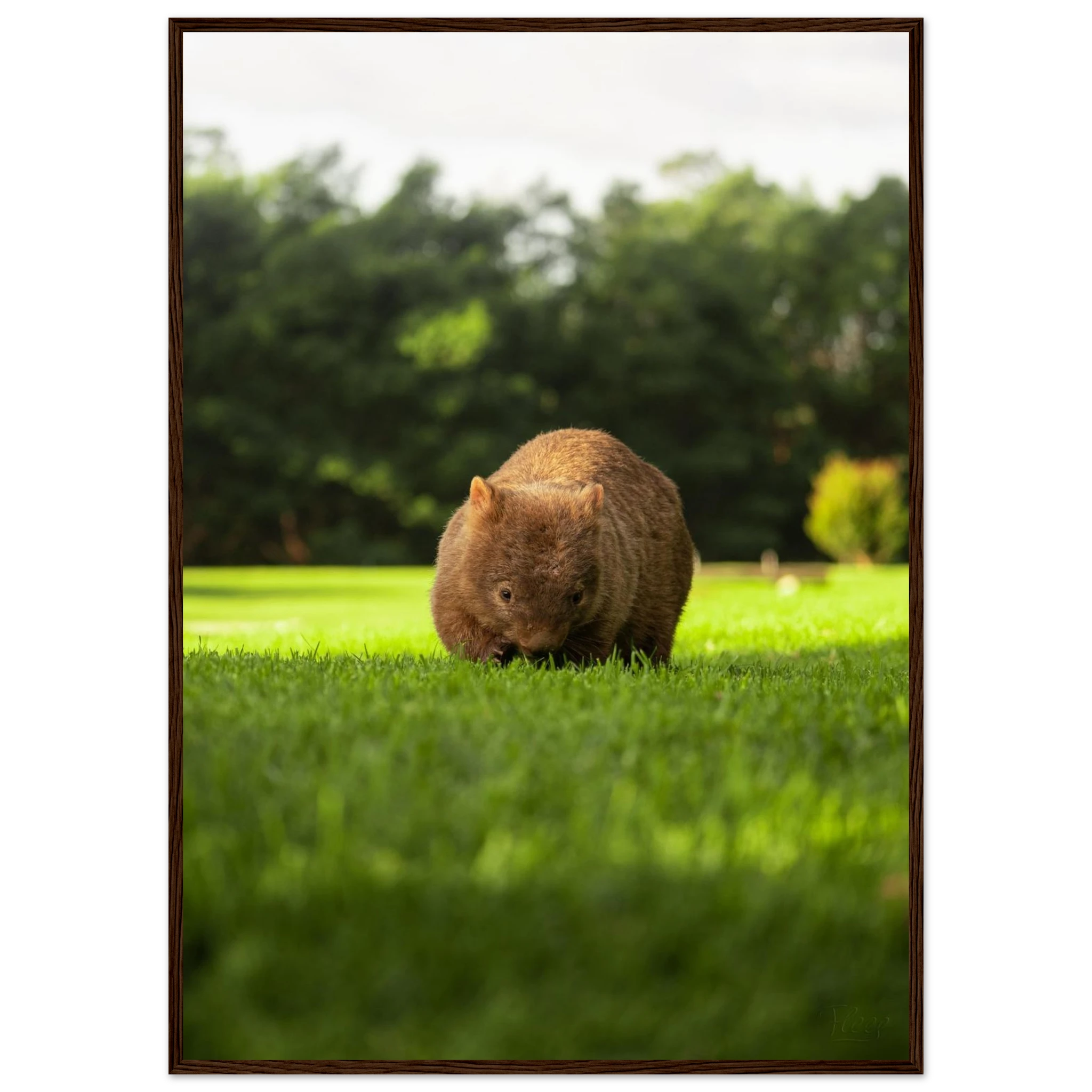 c4db7fc5-534b-450e-827d-ae1bafb4b000