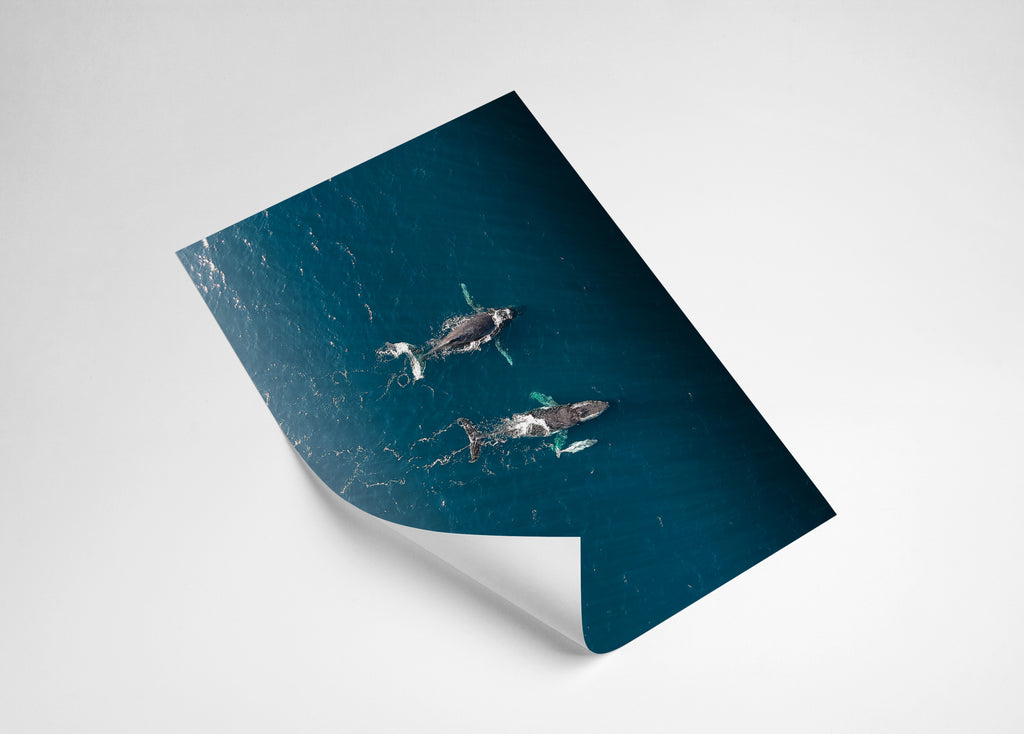 c4eb8d11-b304-4524-82b7-a5f21b95606f