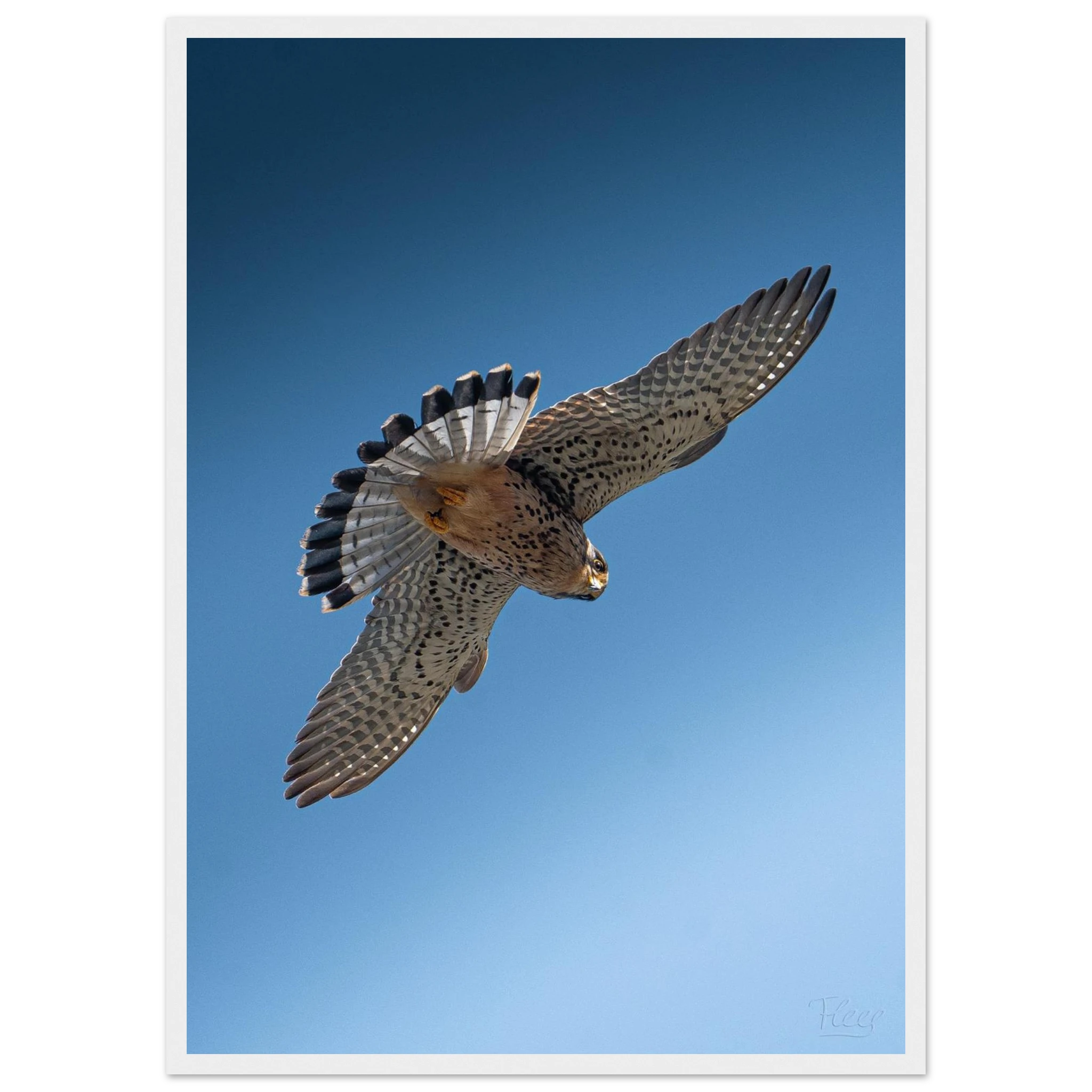 c4f2673c-489c-4283-ac5c-93b54ffda9da