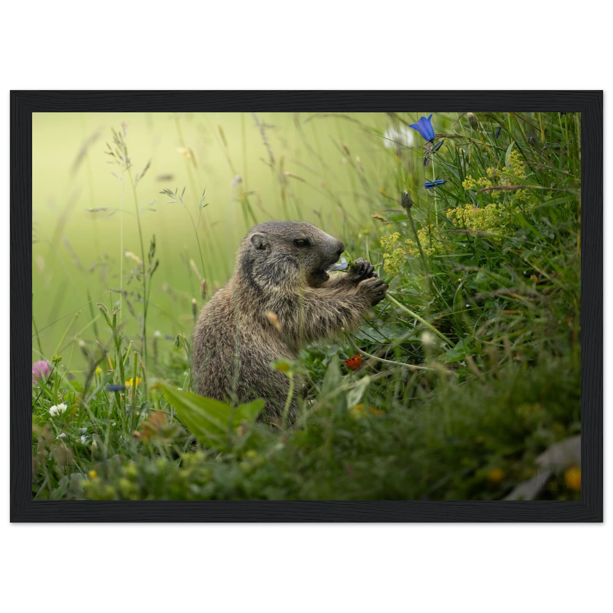 c536ac85-9cab-44f3-8672-88e2437823f8