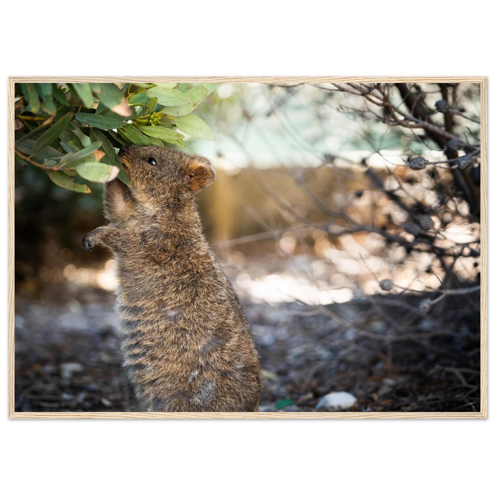 c54a7ecb-5bbe-4490-9903-26f1b8aa6902