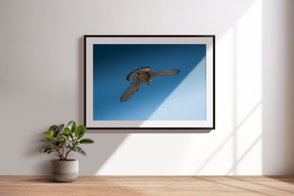 c6921444-ddce-475e-ad3d-14279e8e0257