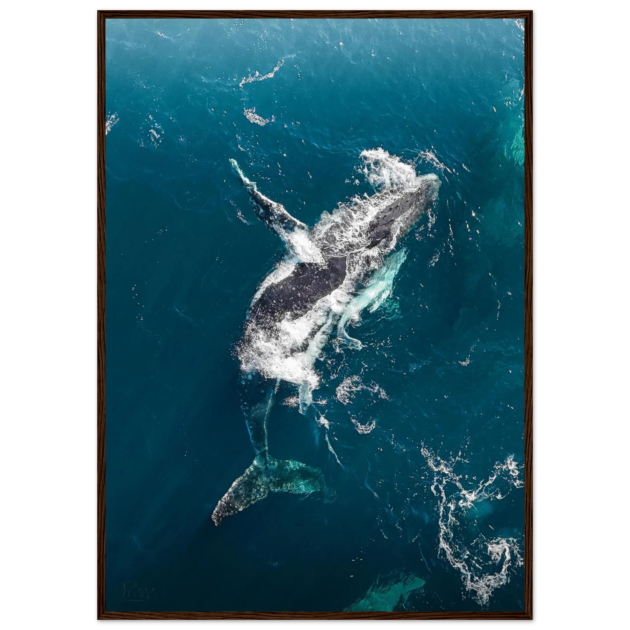 c6c88e7e-4e5c-427d-9cd1-5e0e145a5718