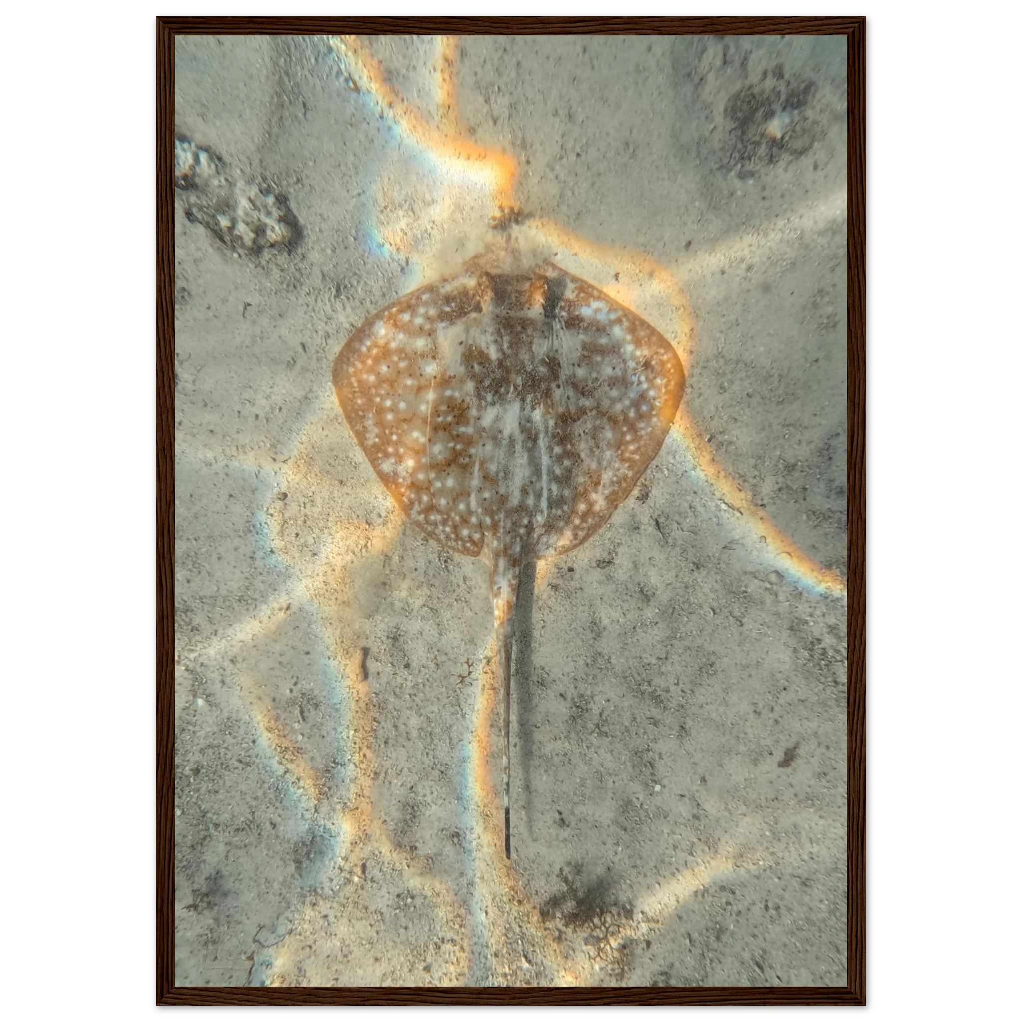 c73c50be-d29d-4934-944a-fbe8a85b45fb