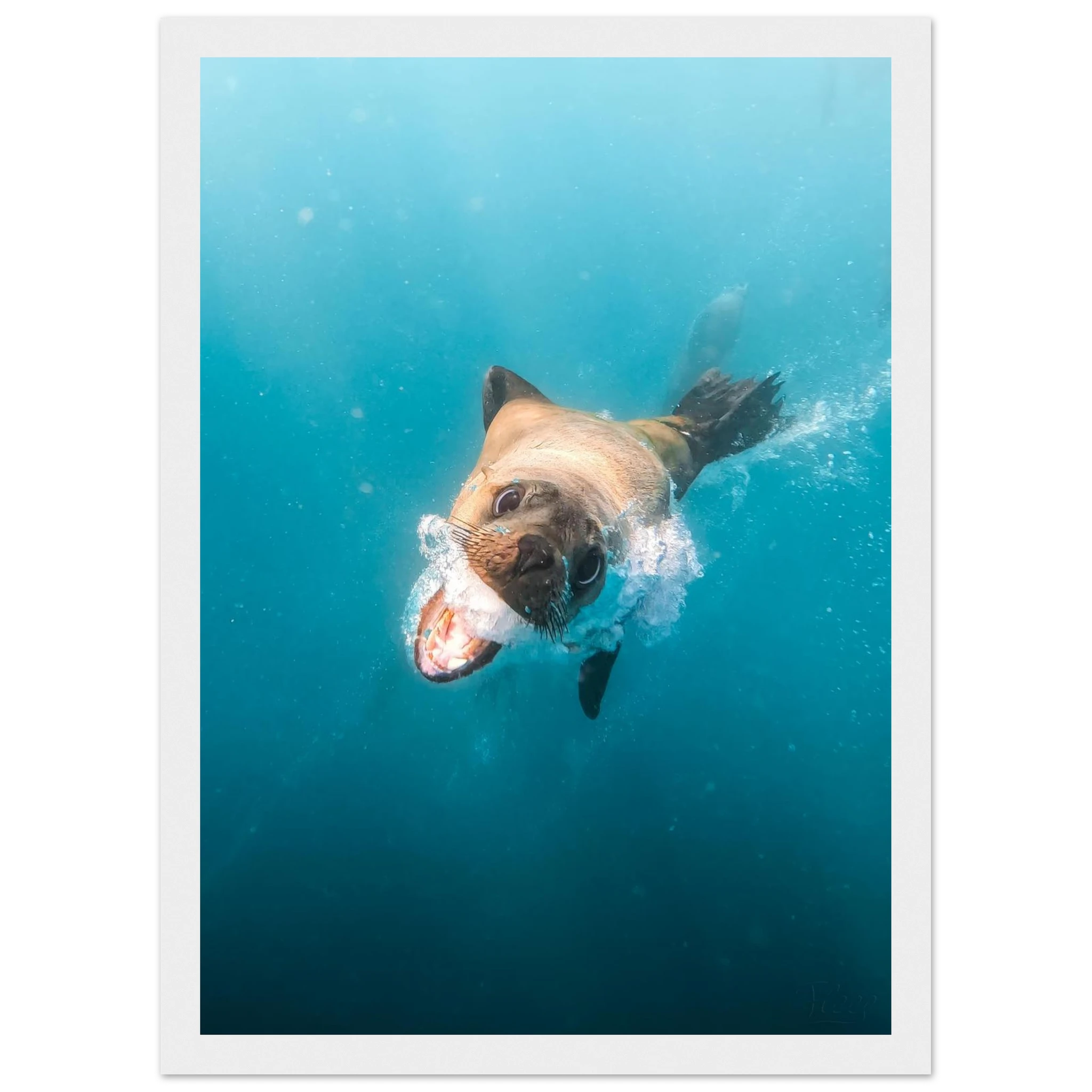 c79cdcf7-a111-433b-b28e-4523aa358b42