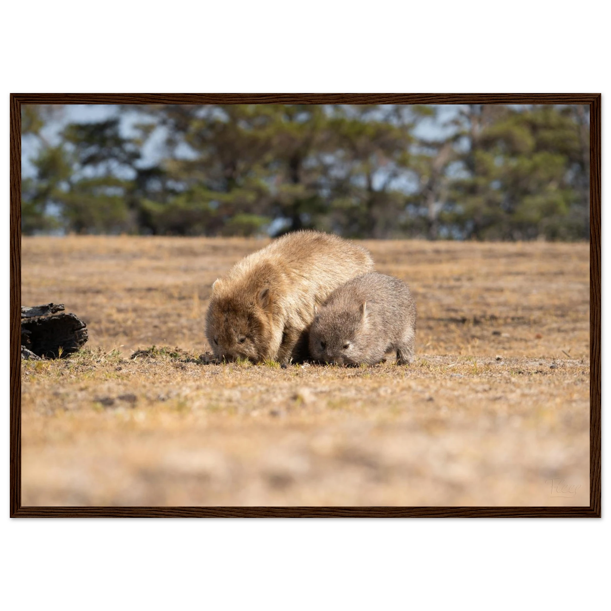 c7a0f7e5-0354-4c2b-ae71-f0d5a5c2f016