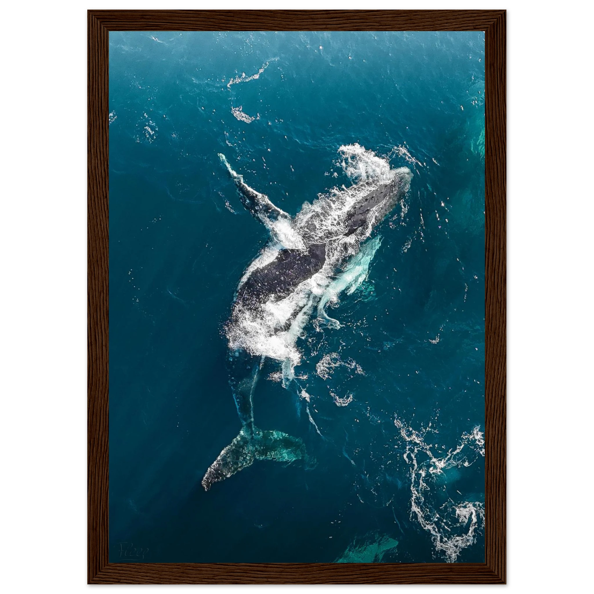 c7d2aa0d-fbbc-4eb0-8d5b-09708a13423b