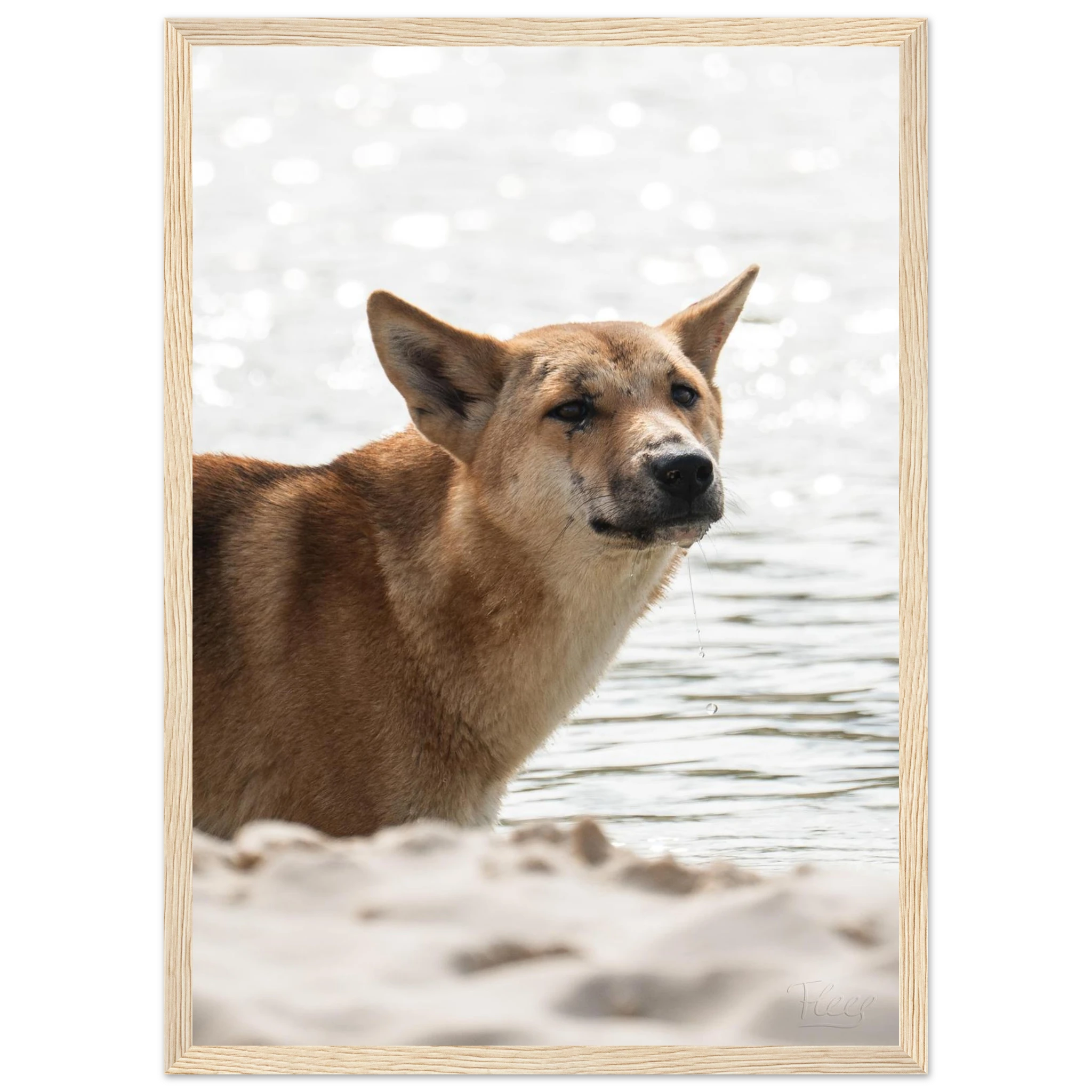 c7f9d7fd-550e-4b0a-b033-6cd055f3a97e