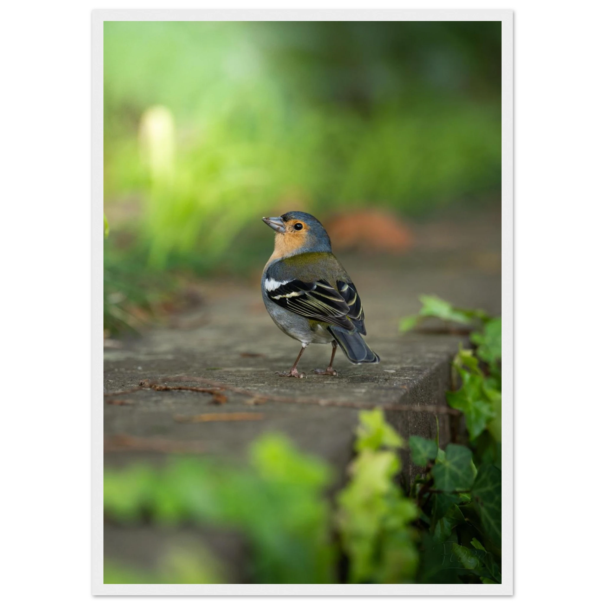 c850256e-e701-4271-83af-732a875da4eb