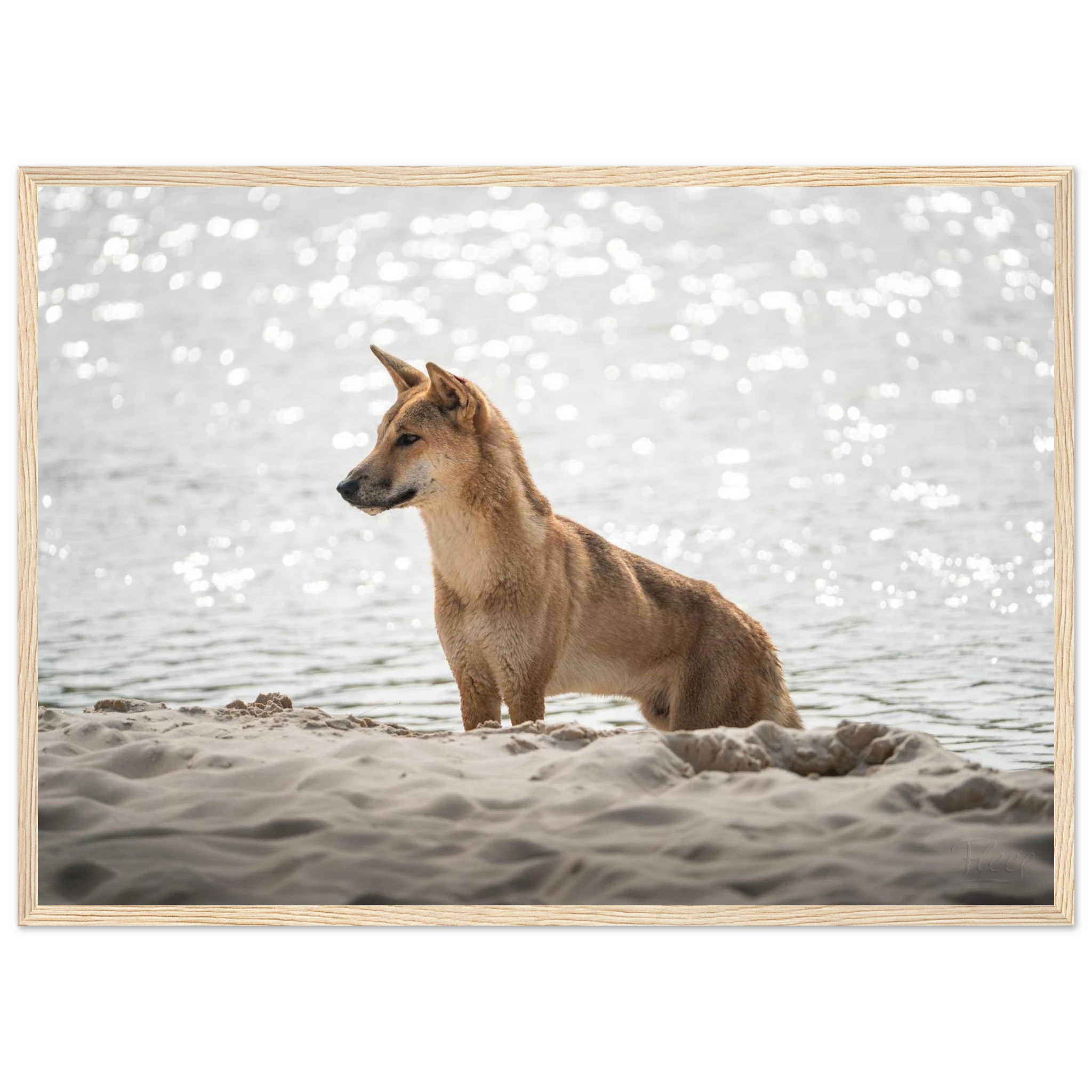 c9234c8c-0211-4992-88de-46594dbb1283