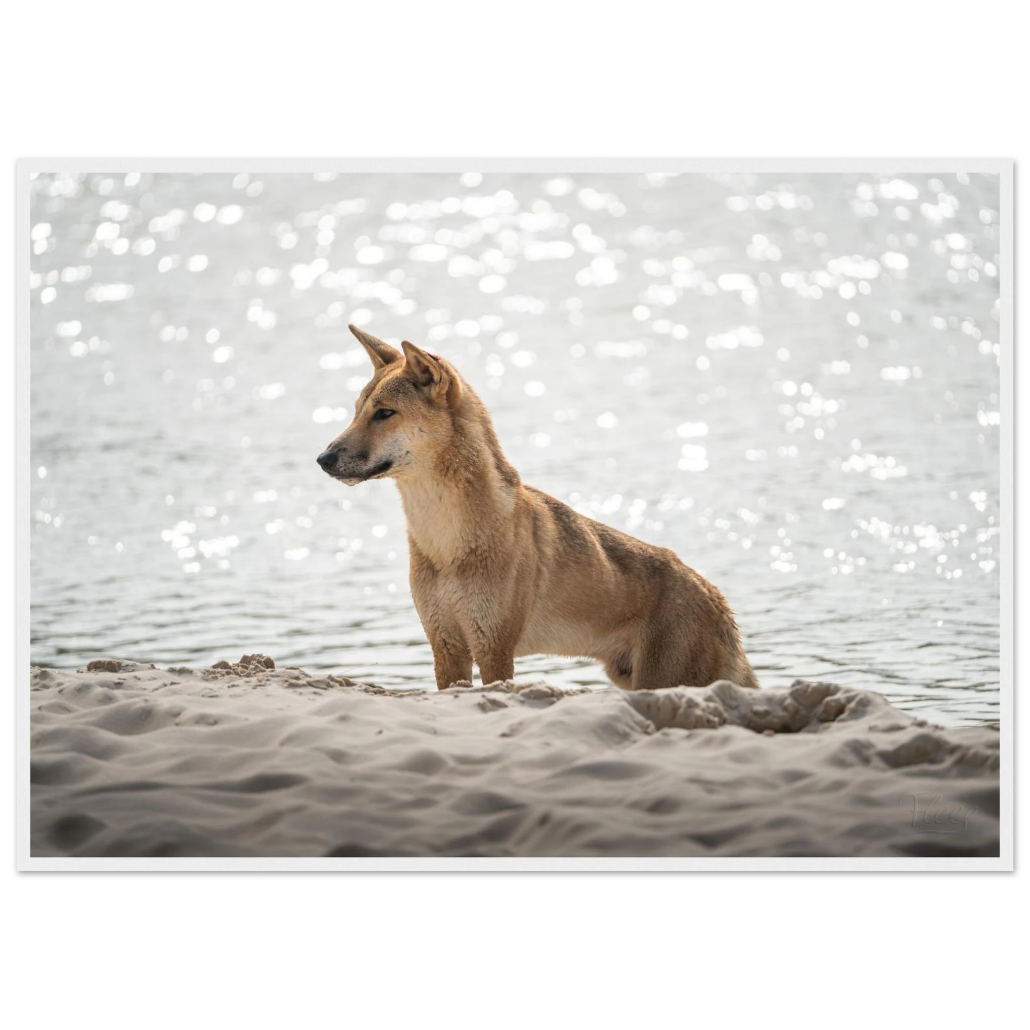 c93c3b71-d3b2-417f-9837-896d620954df