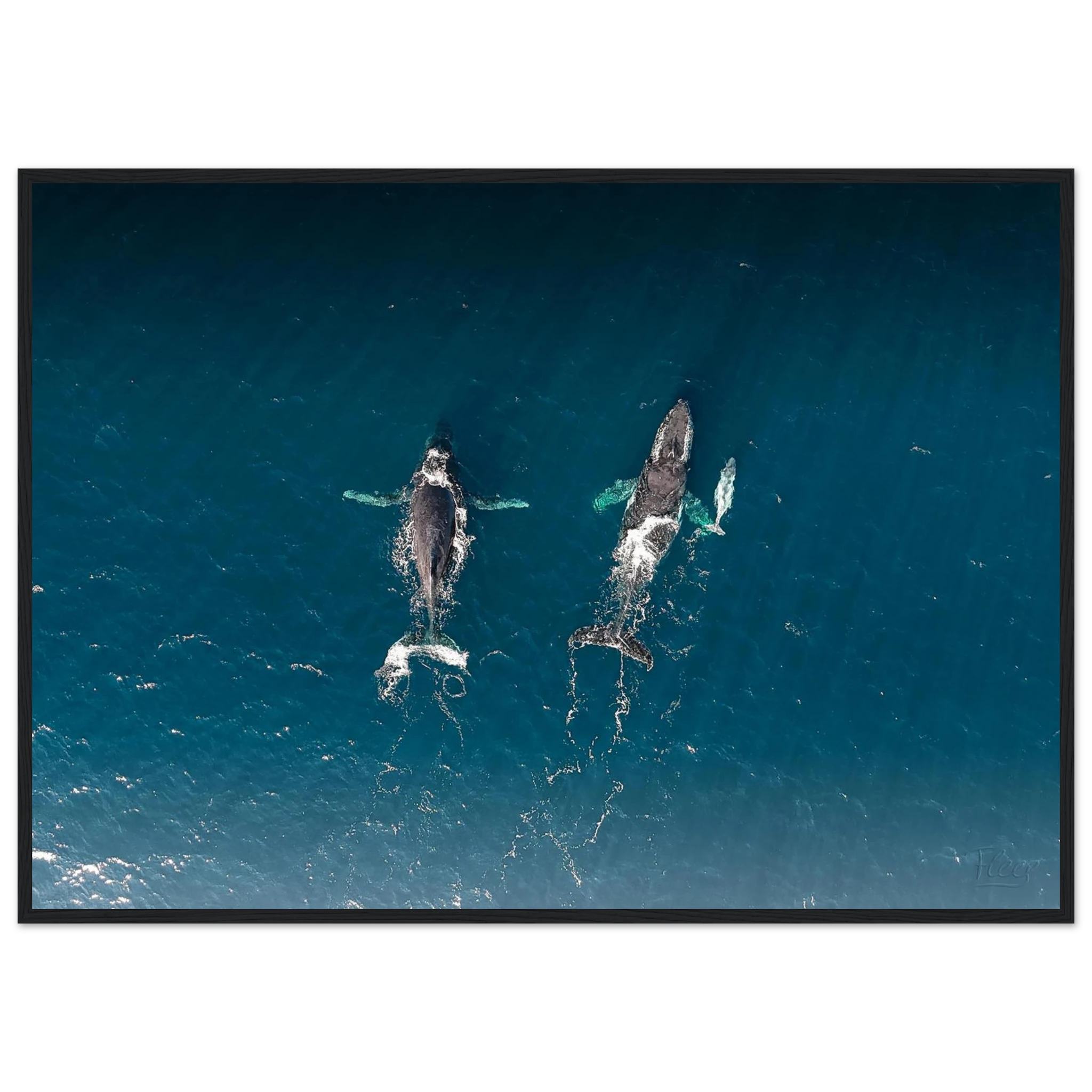 c971e7d8-172e-45b9-8df9-8ed82a98176c