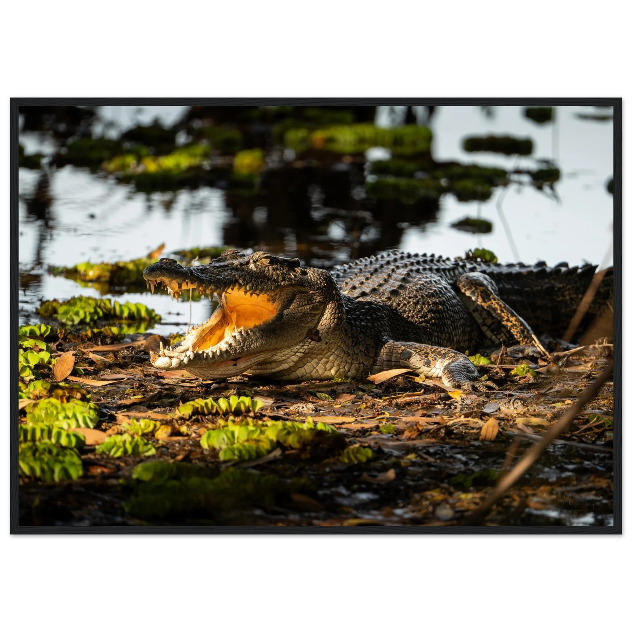 c9ad8ec8-58a2-42d5-ac03-b1b331802c15