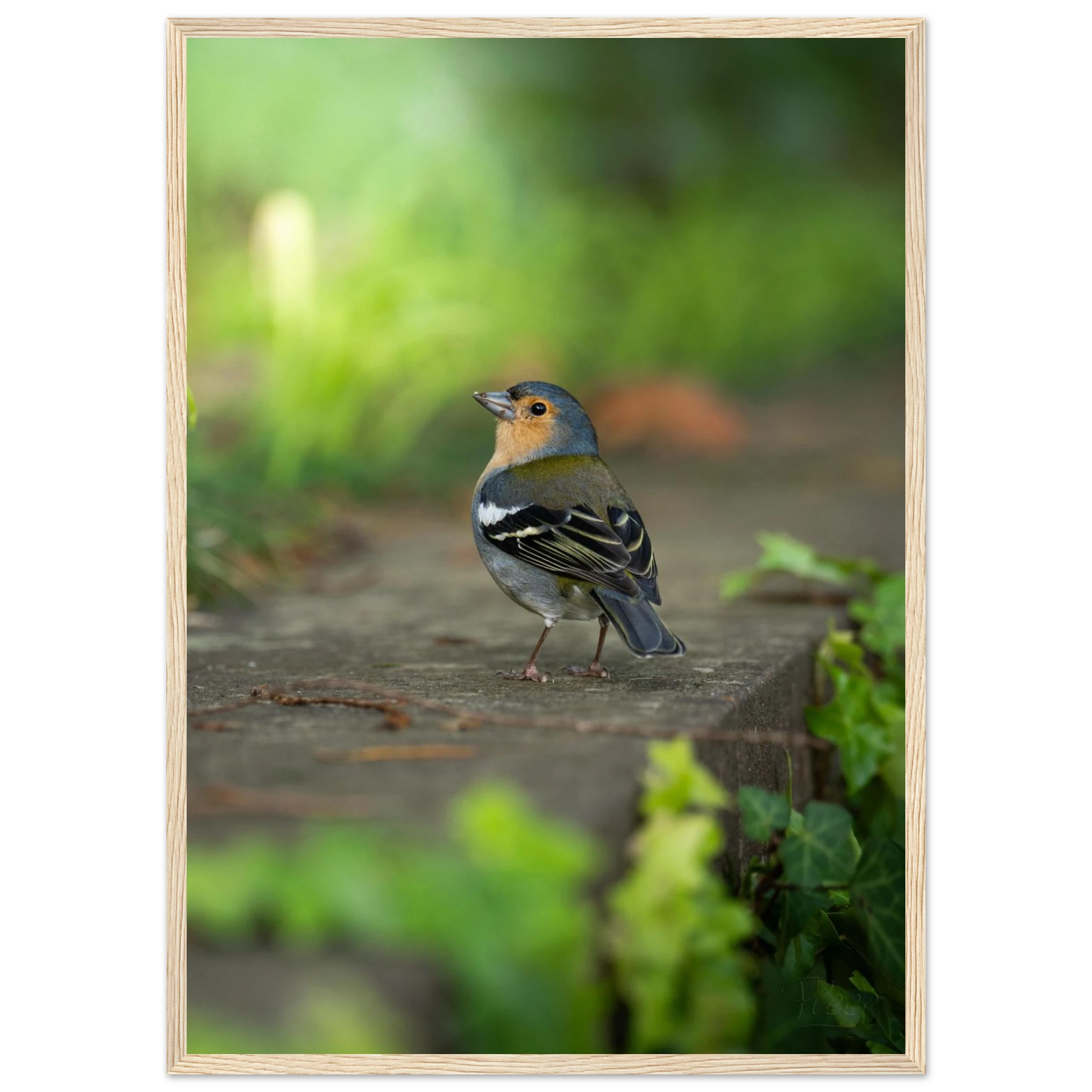 ca78445d-6668-415b-853d-ab406afce998