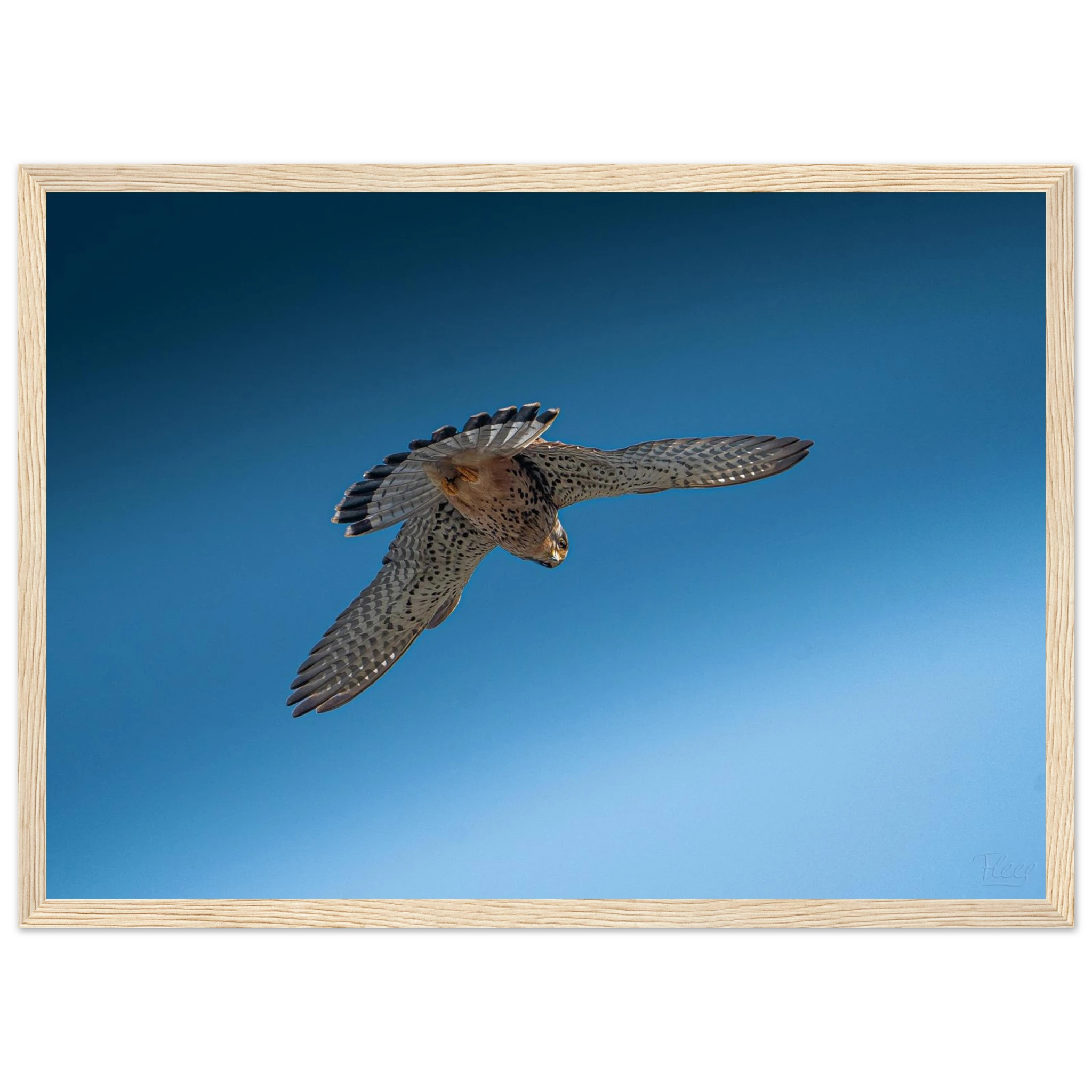 cade787c-8118-4c38-ba6c-9e042bb3b9e7