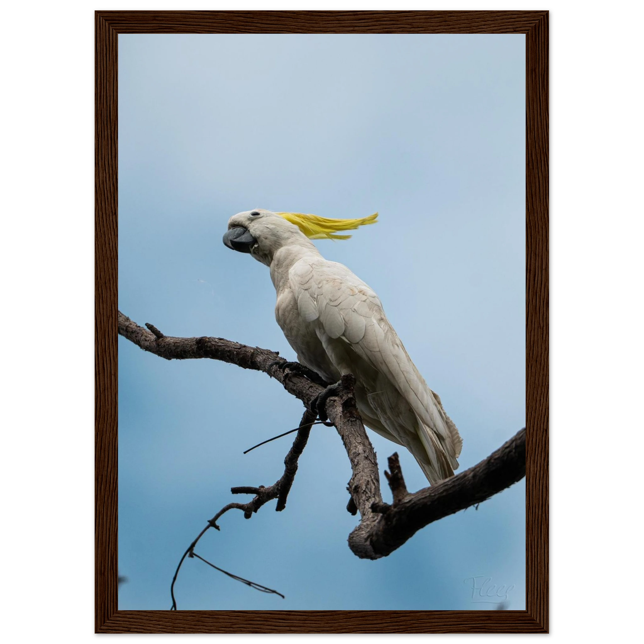 cd1f372c-7725-41ca-8aeb-5c068c928d6e