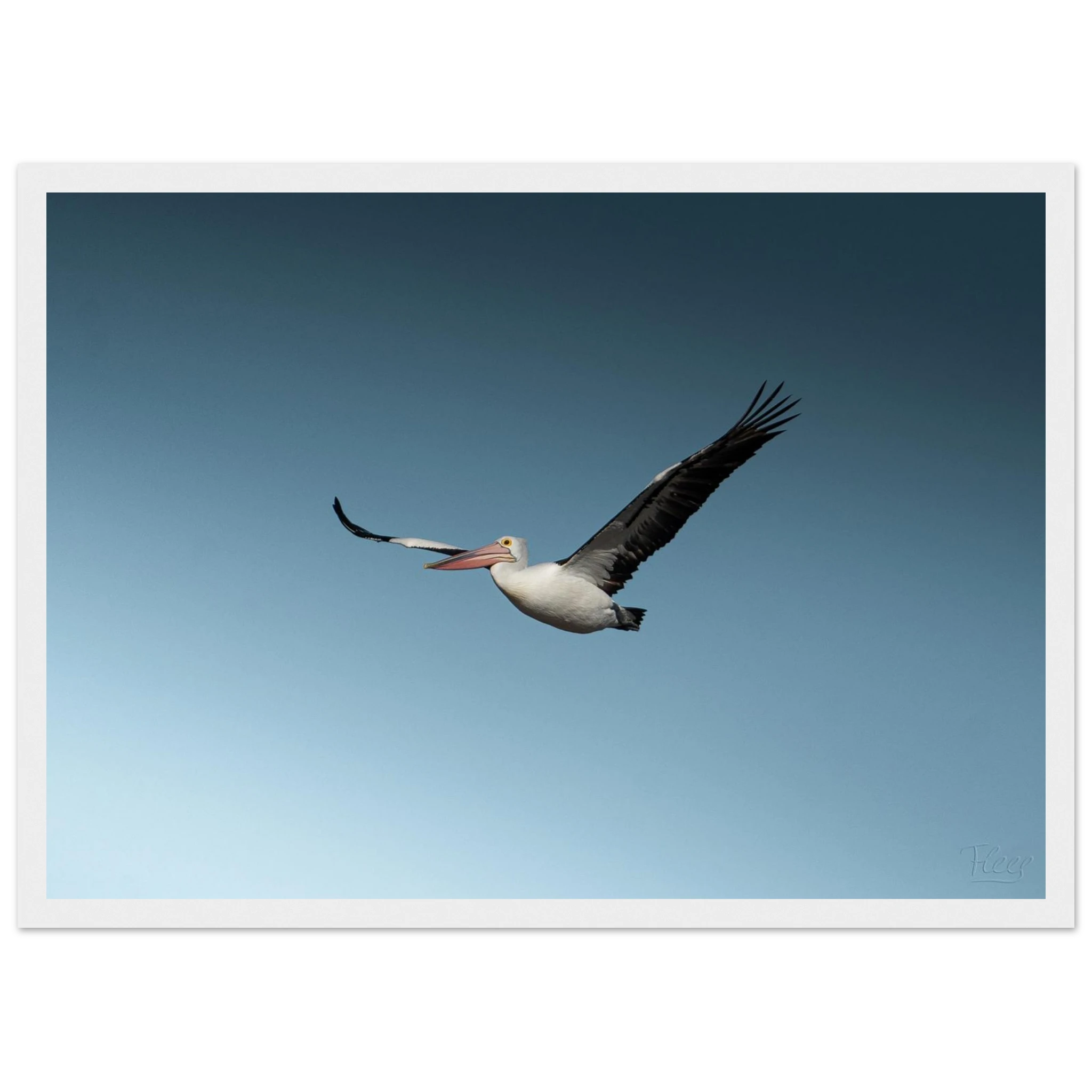 cd8a2802-9d12-4c59-b332-4317e2e56678