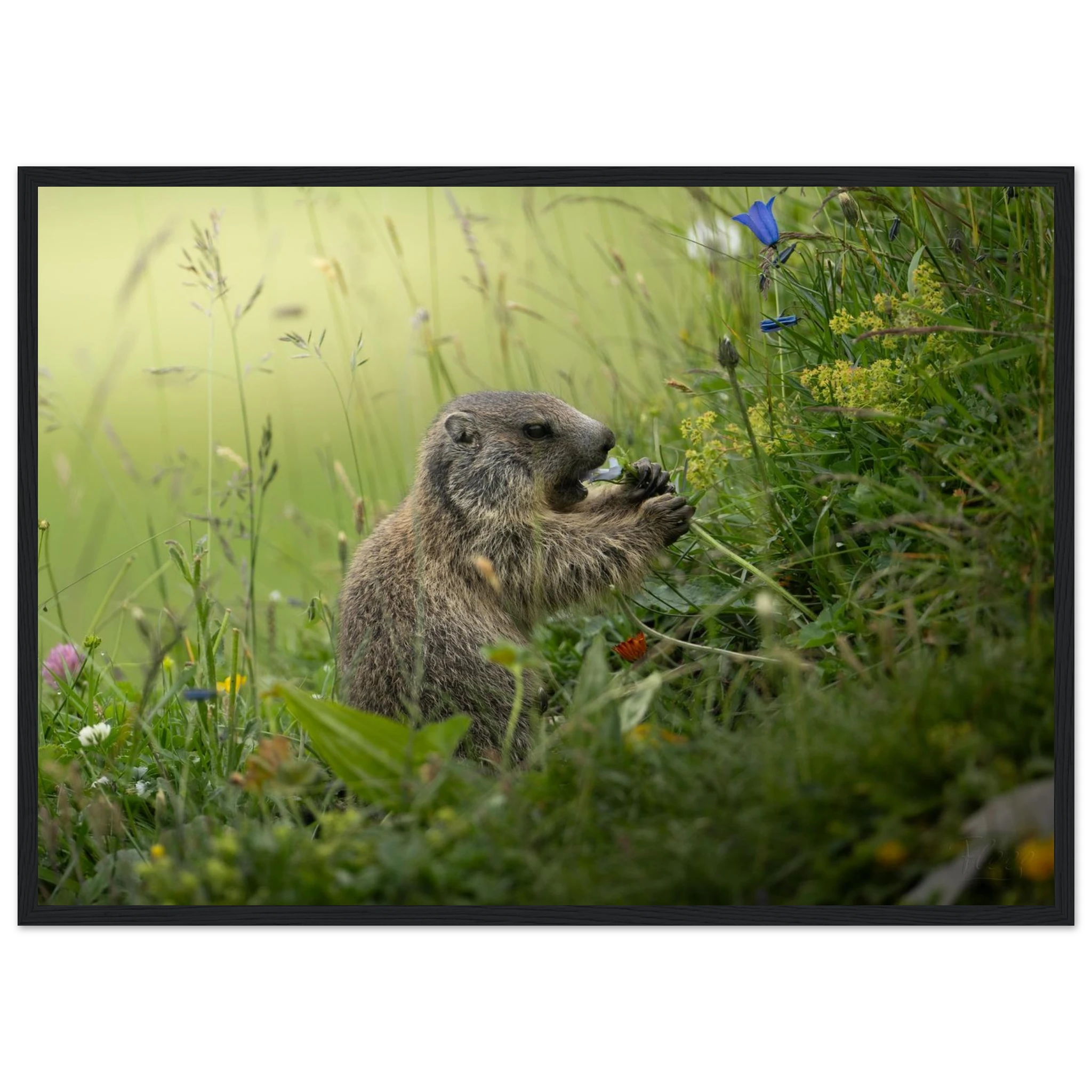 cdb98194-6545-452a-918d-a612e257a1a2