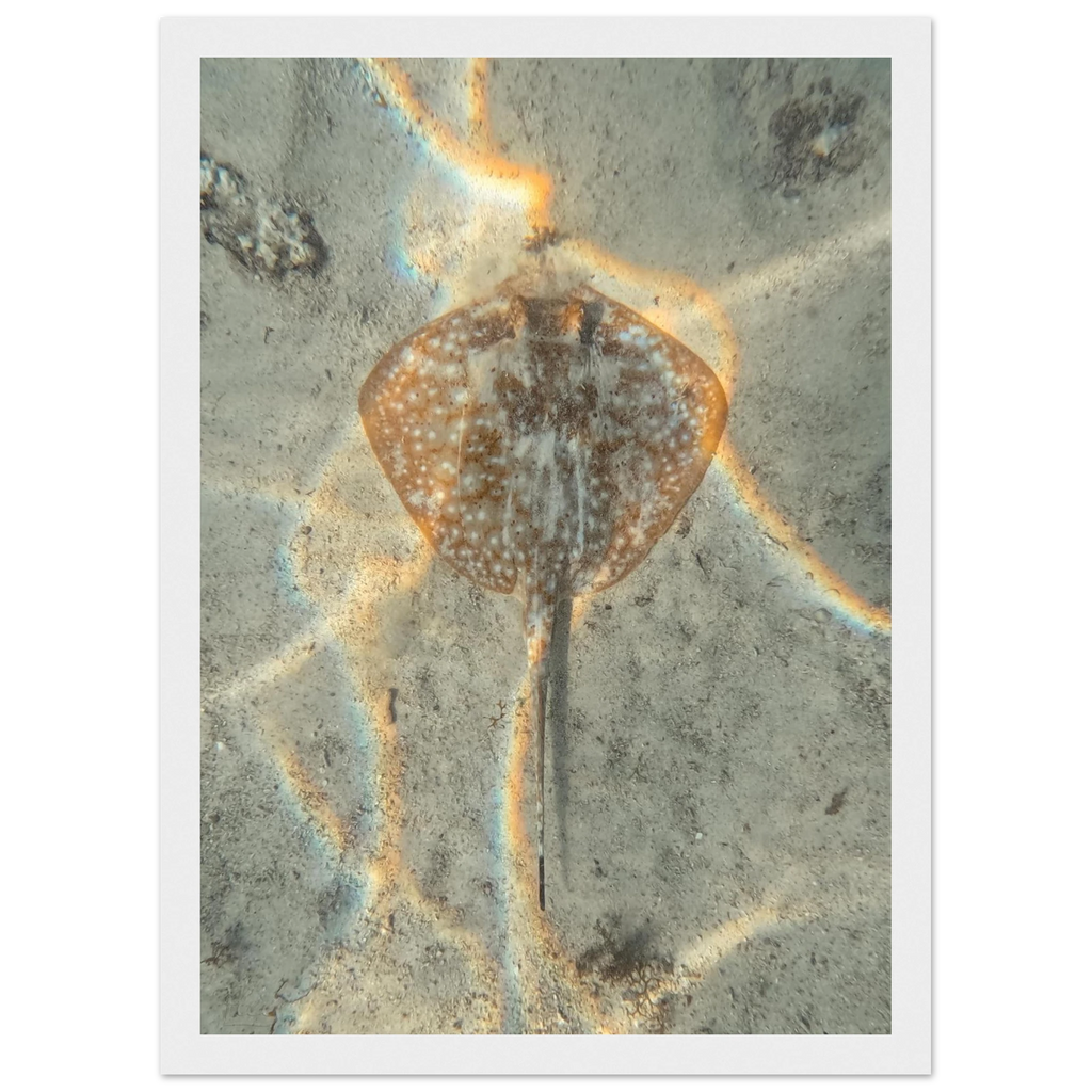 ce830377-9438-4f0e-a7d4-19a7c6e7da17