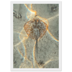 ce830377-9438-4f0e-a7d4-19a7c6e7da17