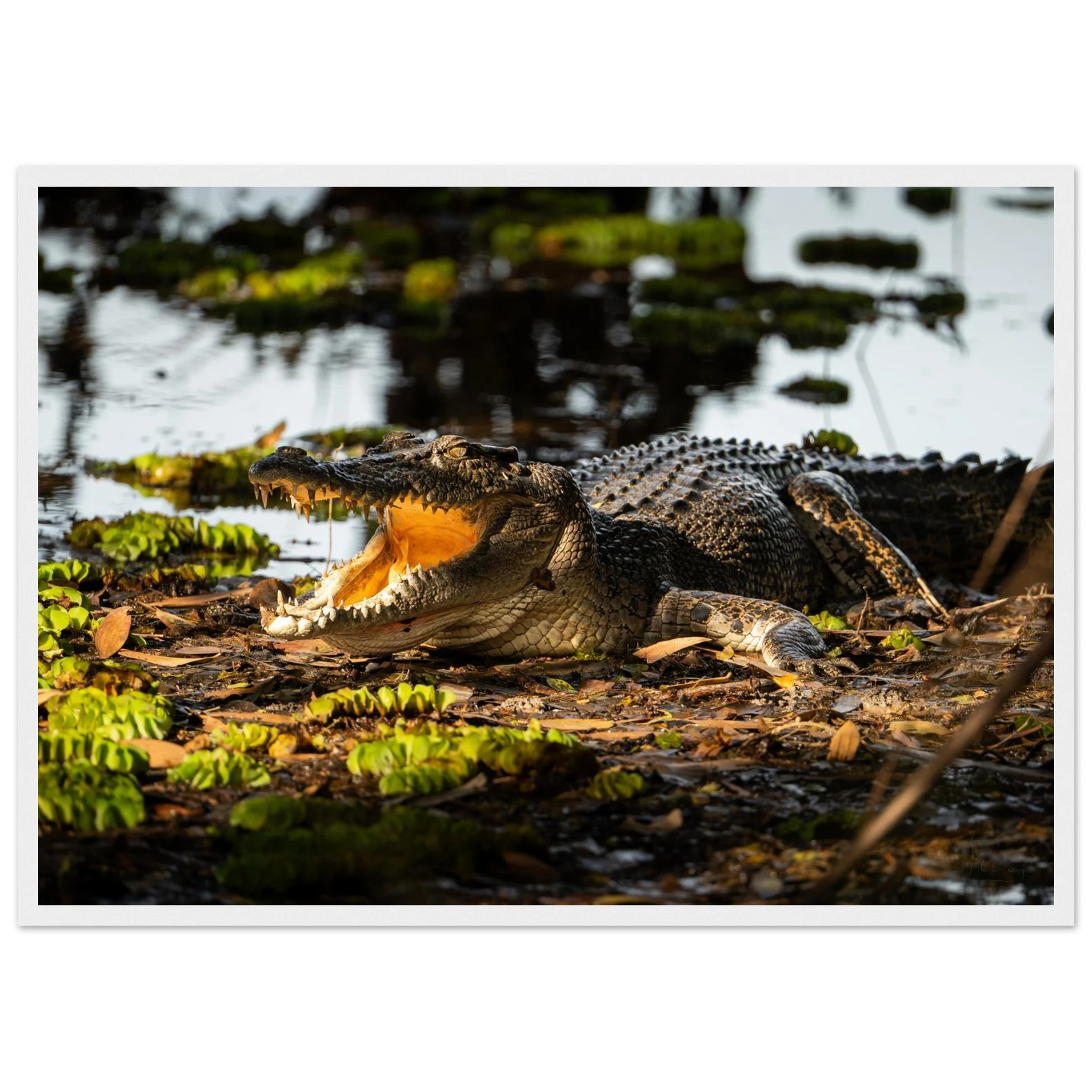 cf18d9d0-42b0-4c2e-9e04-a0569e2c4322