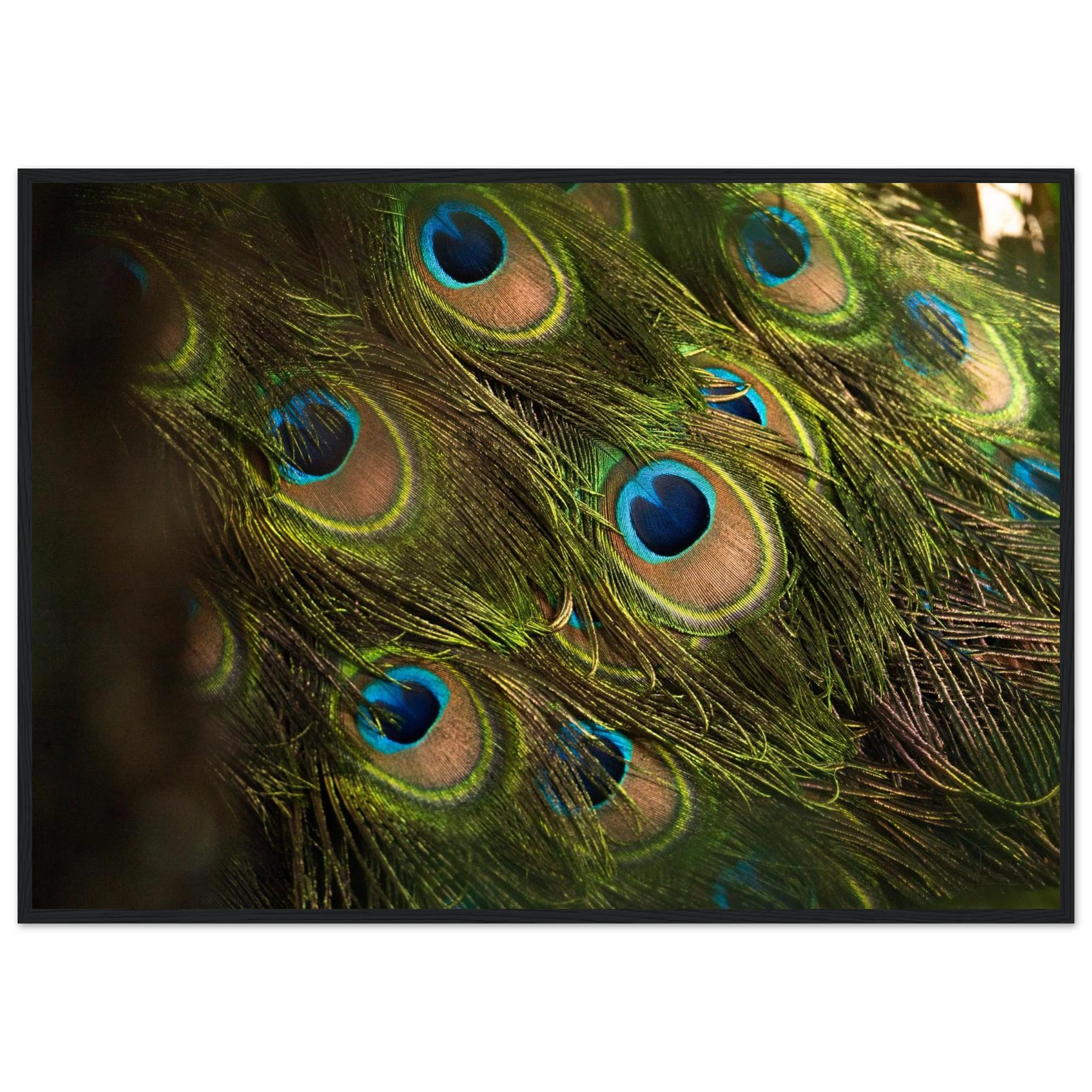 cf3c1557-b7bd-436d-ae47-4589e1cf5a65