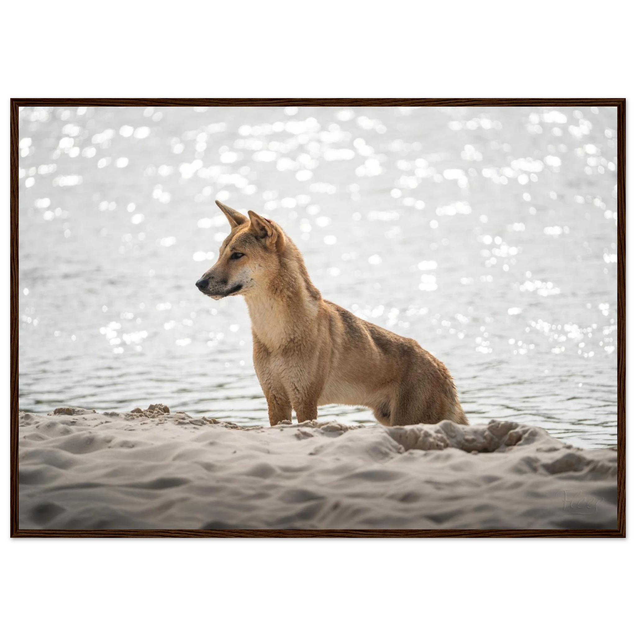 cff3a524-9f32-48f4-9b7f-2e1fdb76a845