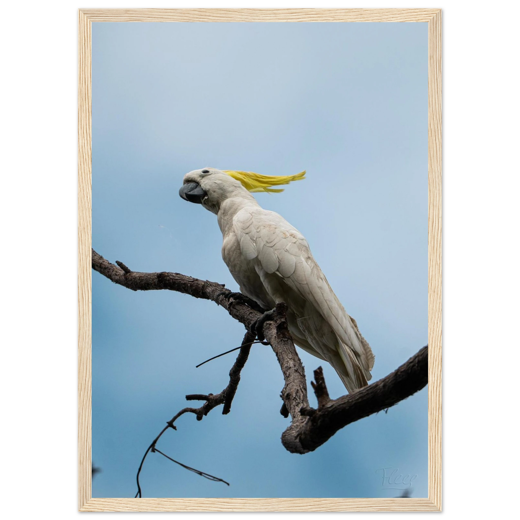 d0bf798a-1038-40b1-842b-402671100610