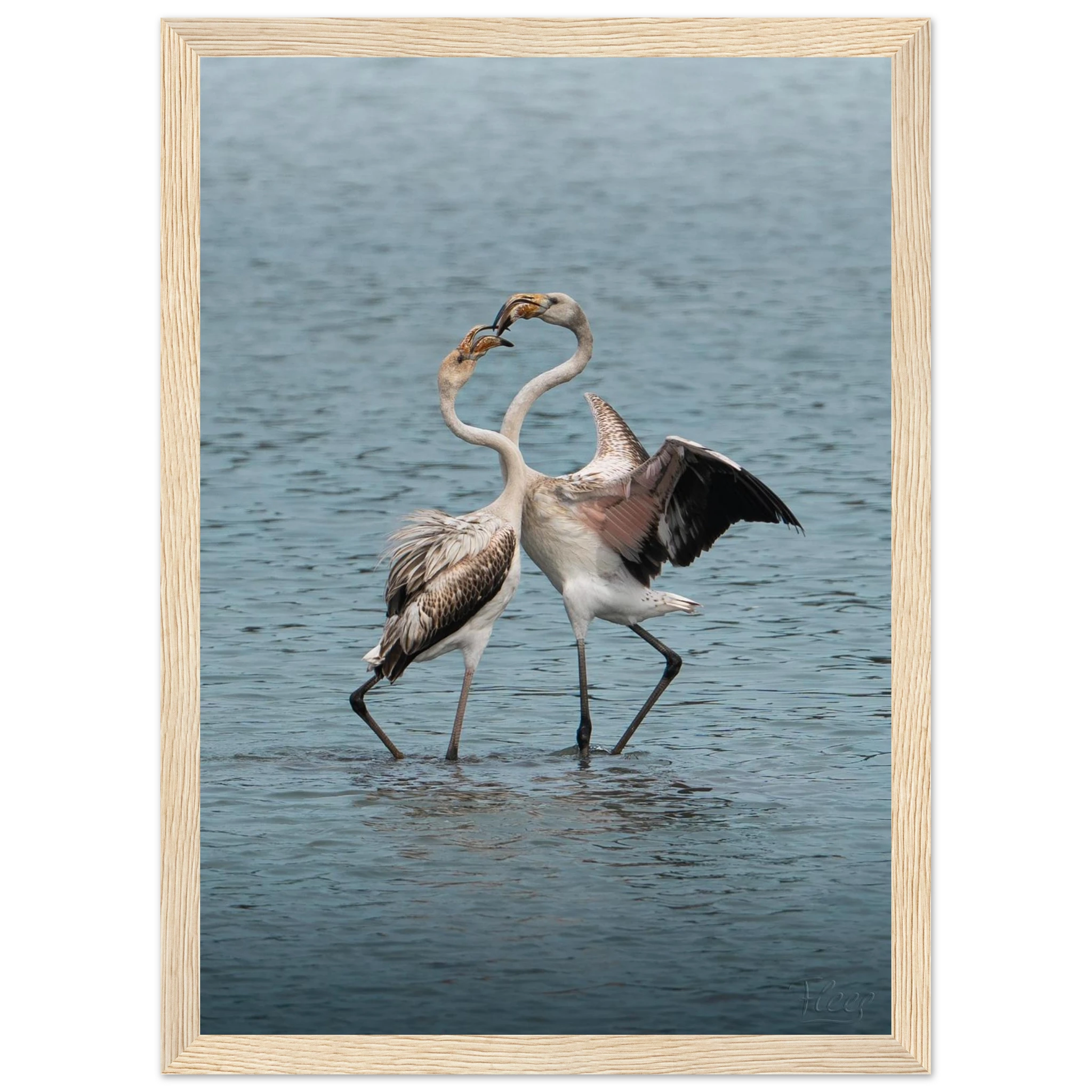 d1081aa6-159c-49fe-b71b-e5590cd6b723