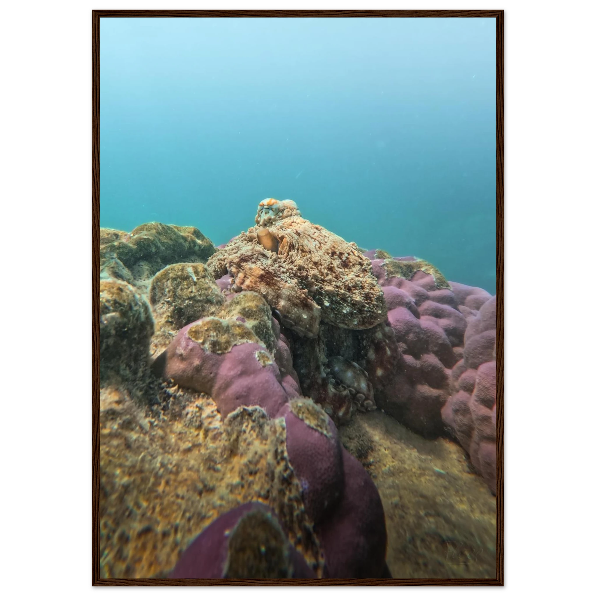 d11d1d6b-7e97-4672-bc9a-2f407ea89c50